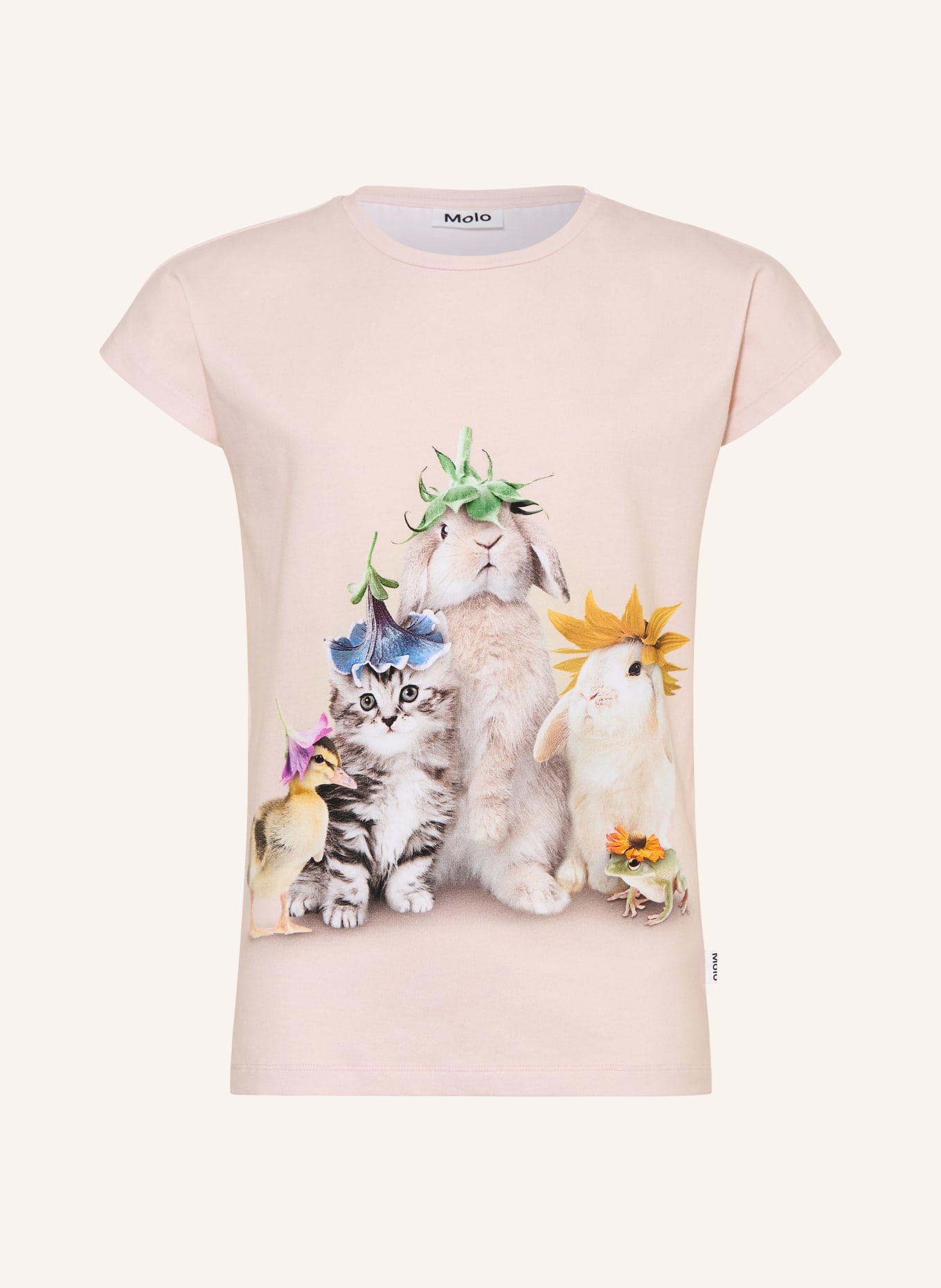 molo koszulka: JASNORÓŻOWY / ZIELONY / NIEBIESKI