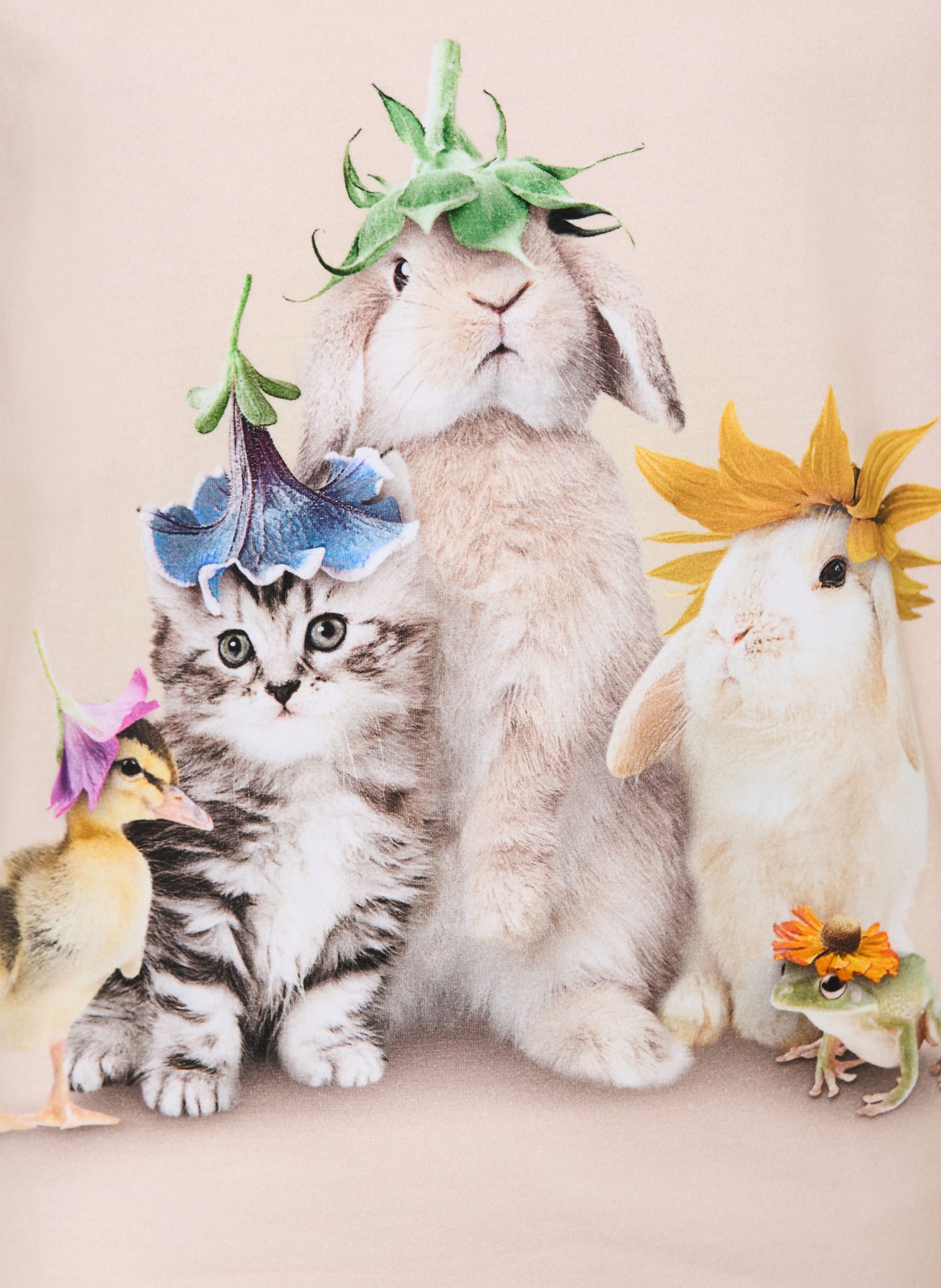 molo koszulka: JASNORÓŻOWY / ZIELONY / NIEBIESKI