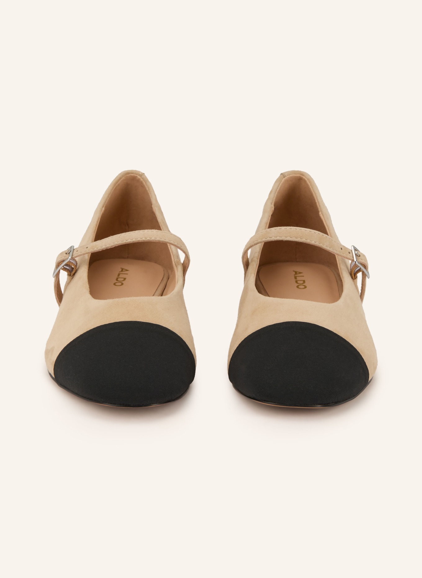 ALDO Ballerinas HAOINIA: BEIGE / SCHWARZ