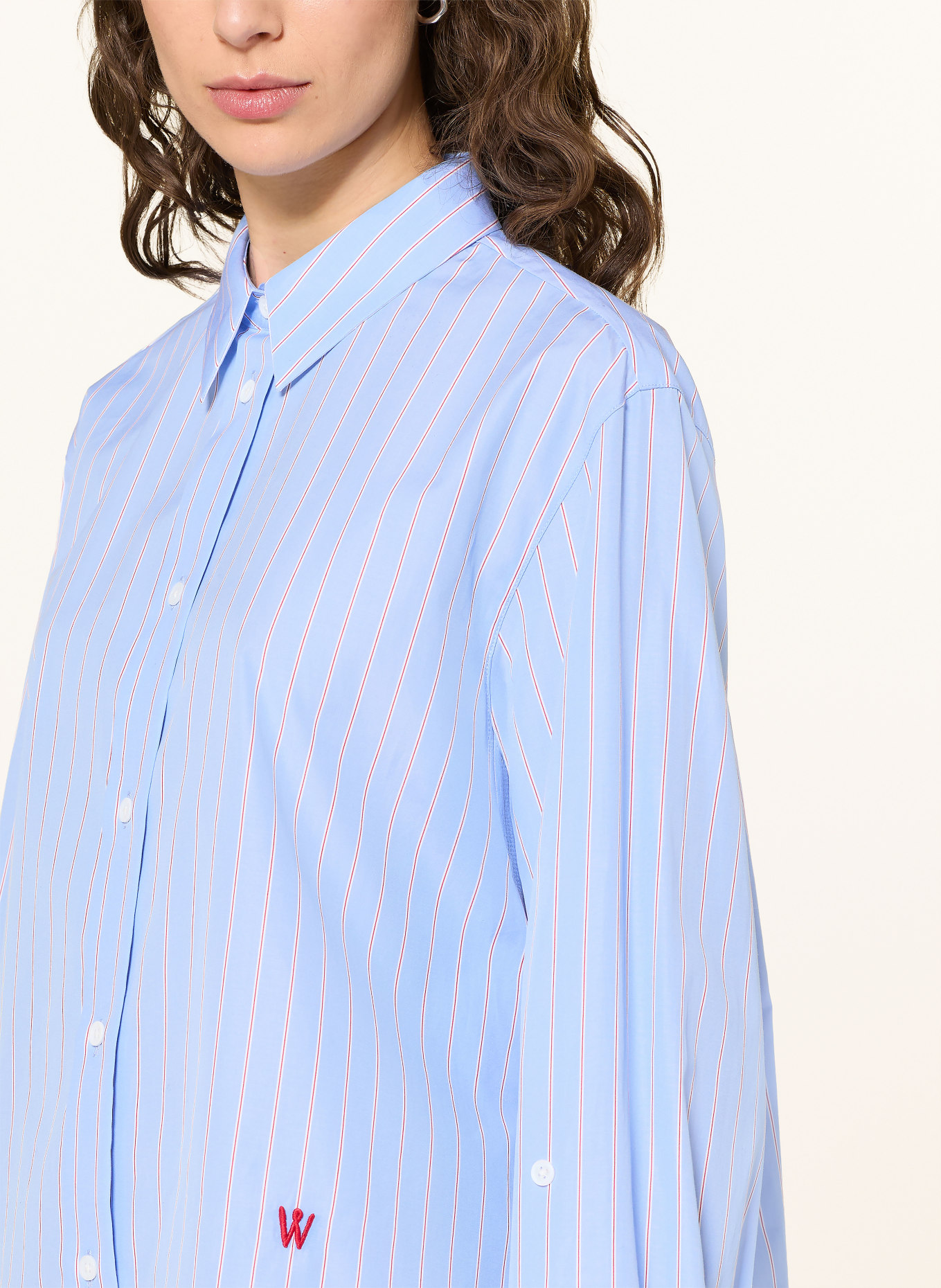 windsor. koszula: JASNONIEBIESKI / CZERWONY / BIAŁY