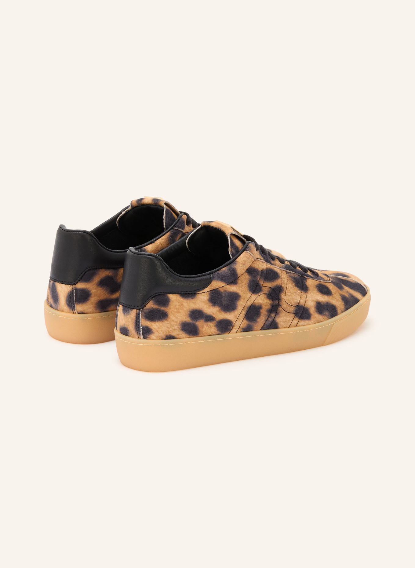 Högl Sneaker: BEIGE / SCHWARZ