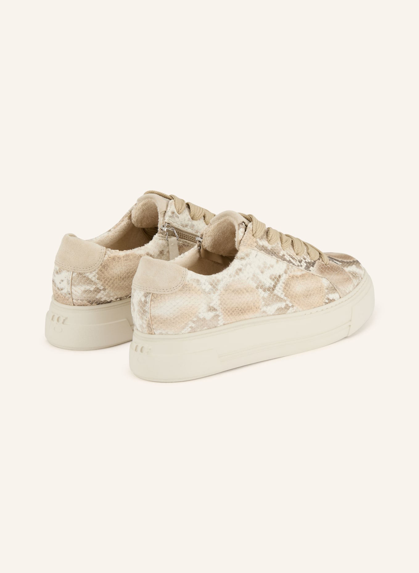 paul green trampki: KREMOWY / BEŻOWY / SZARY