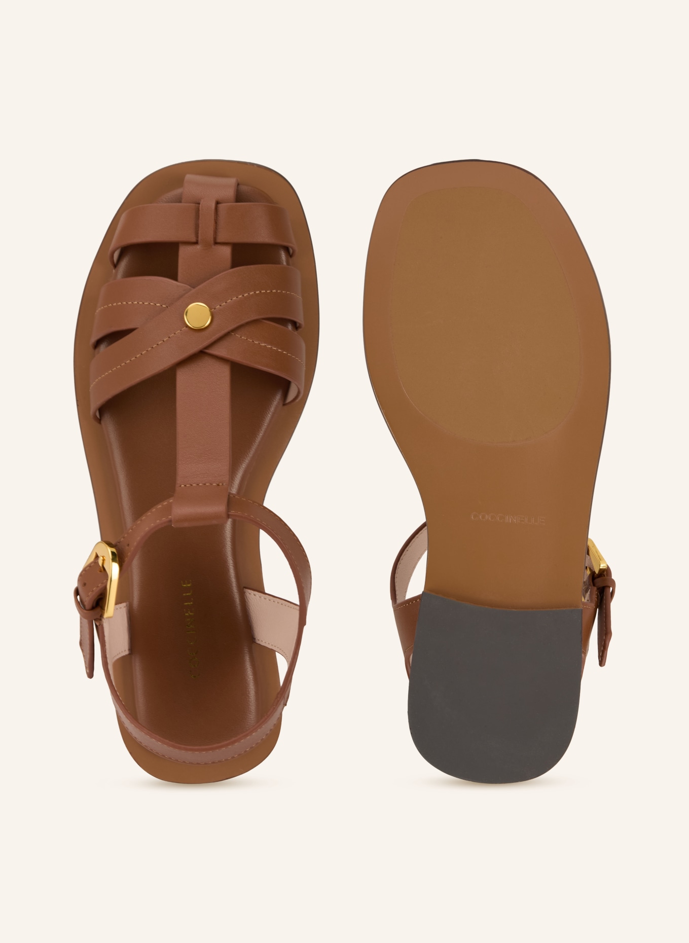 COCCINELLE sandały: KONIAKOWY / ZŁOTY