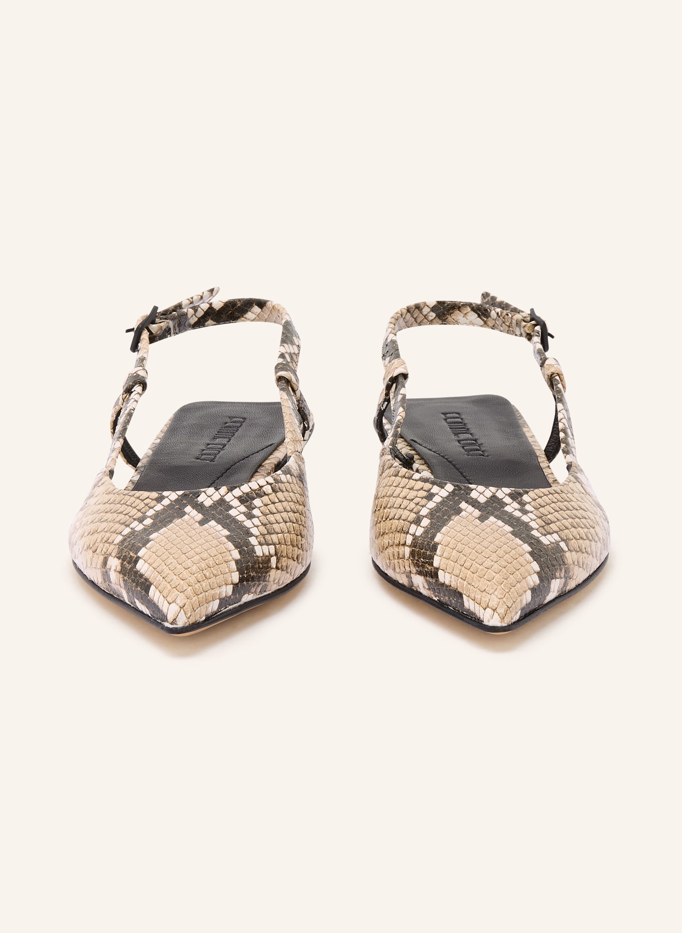 POMME D'OR Slingballerinas ANYA: BEIGE / DUNKELBRAUN