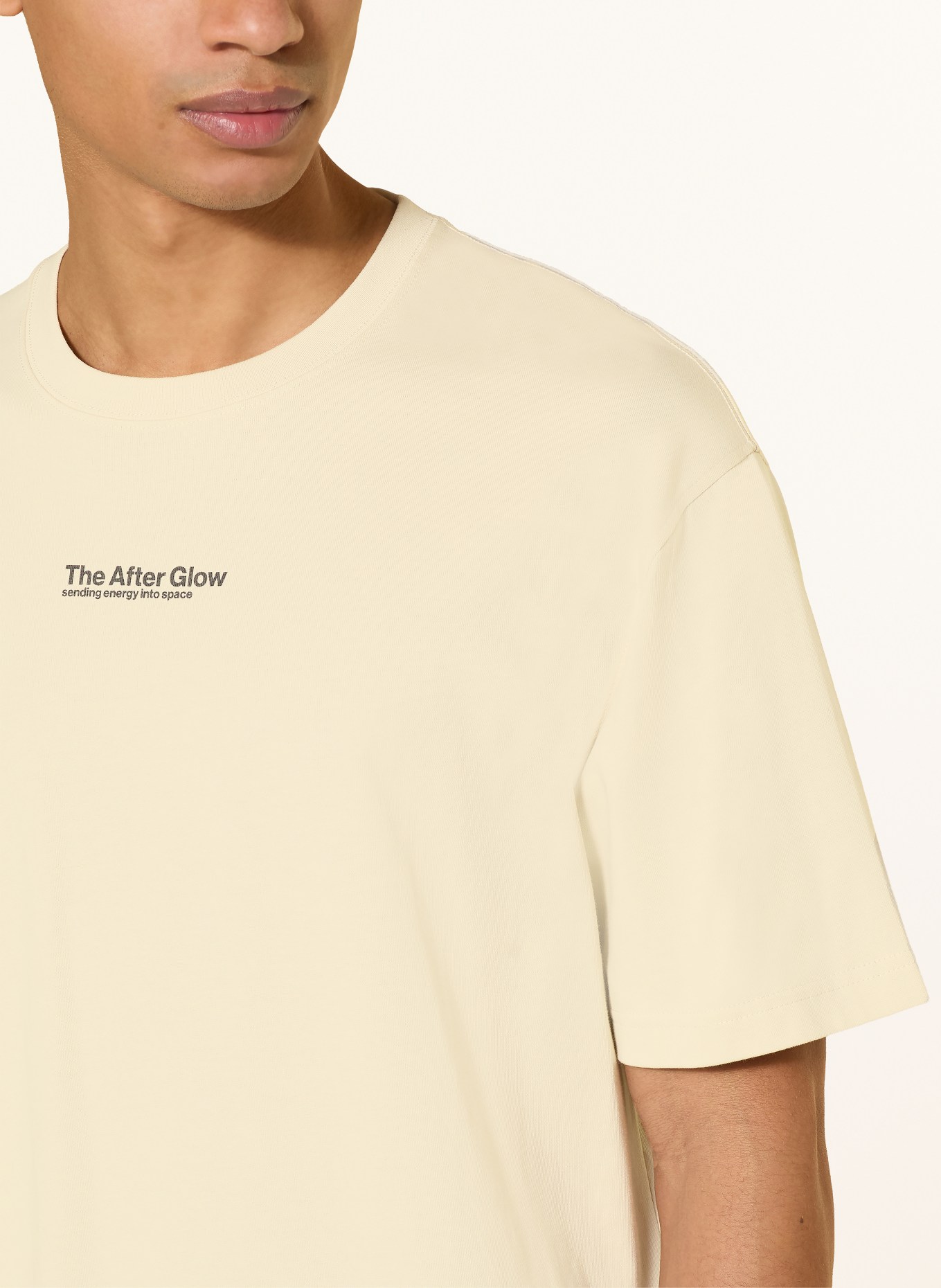 SAMSØE  SAMSØE SAUNI T-shirt: BEIGE / DARK BROWN