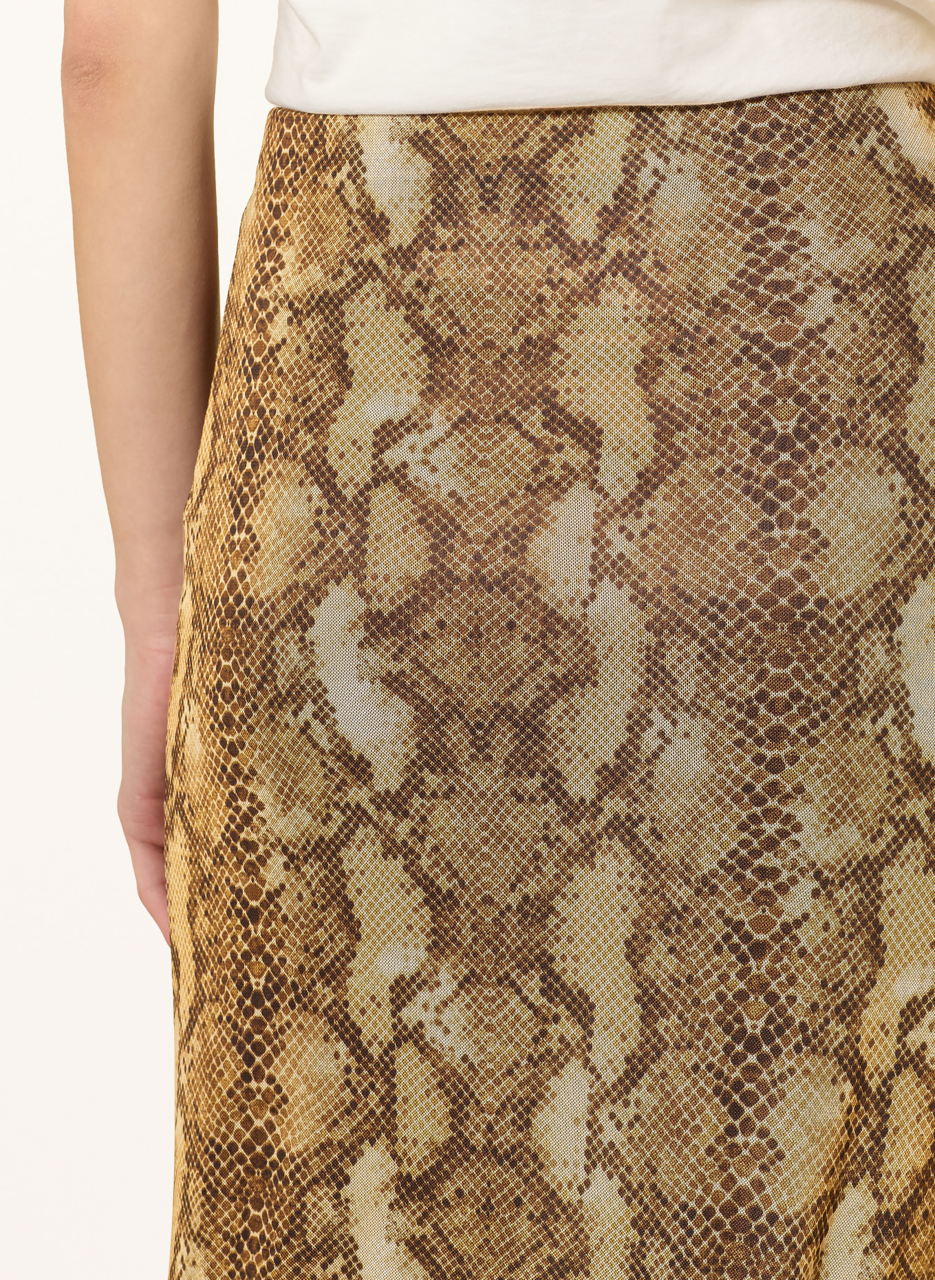 Rich & Royal Rock: CAMEL / BRAUN