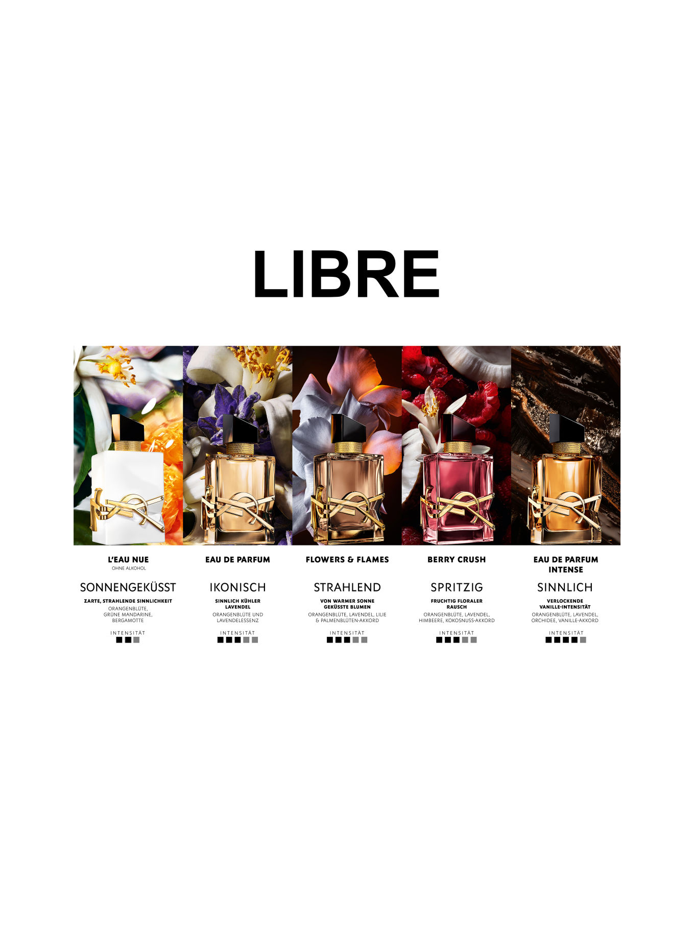 YVES SAINT LAURENT BEAUTÉ LIBRE
