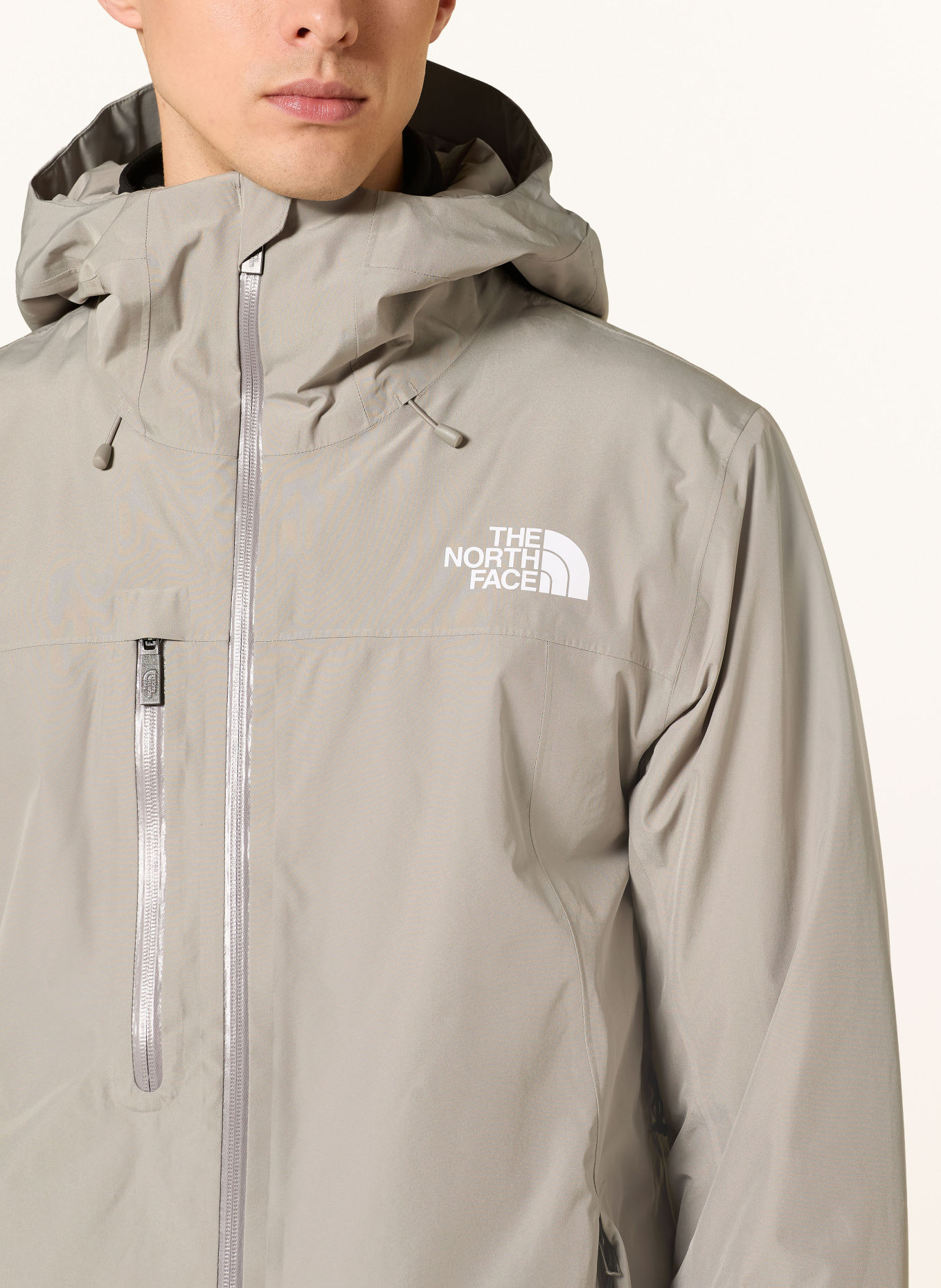 THE NORTH FACE Ski jacket DESCENDIT: LIGHT GRAY