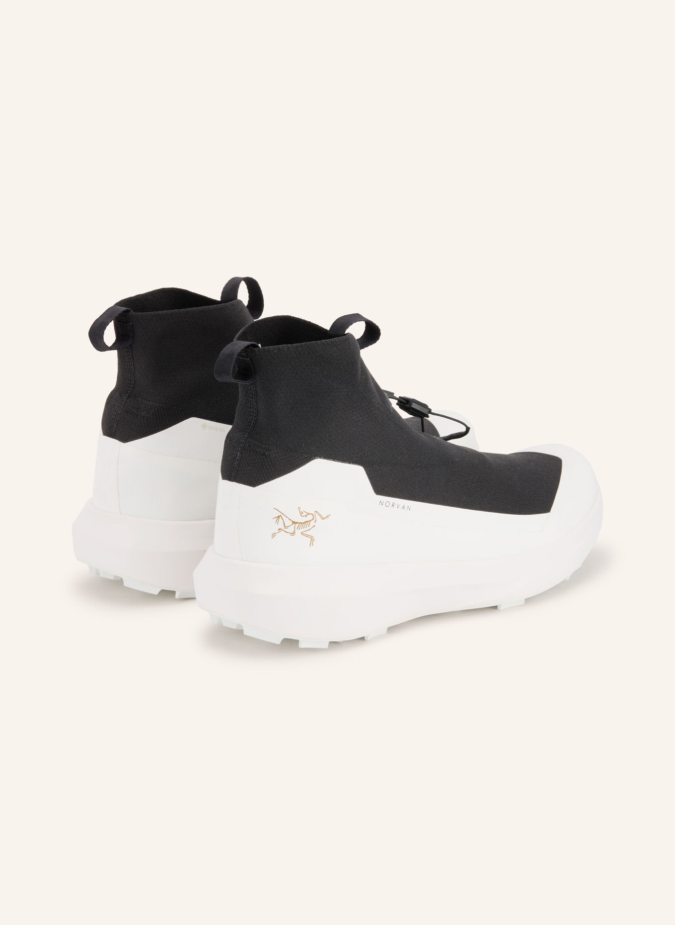 ARC'TERYX Chaussures de trail NORVAN 4 NIVALIS: NOIR / BLANC