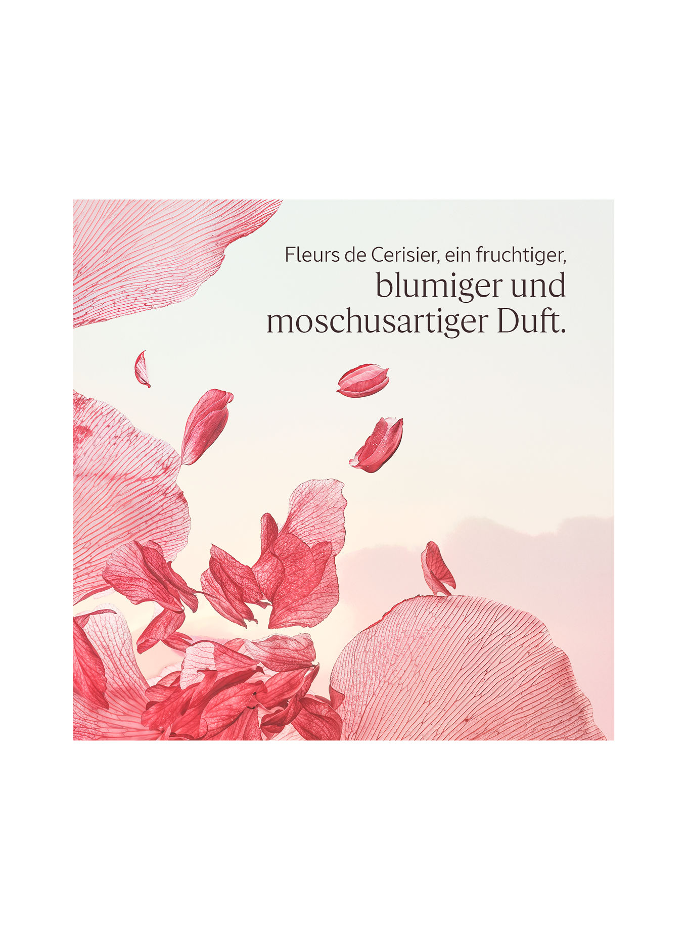 L'OCCITANE FLEURS DE CERISIER