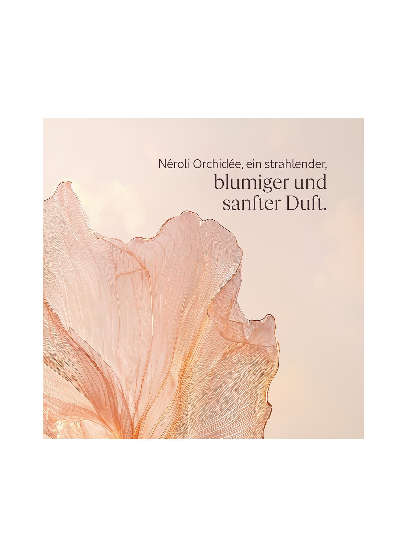 L'OCCITANE NÉROLI ORCHIDÉE