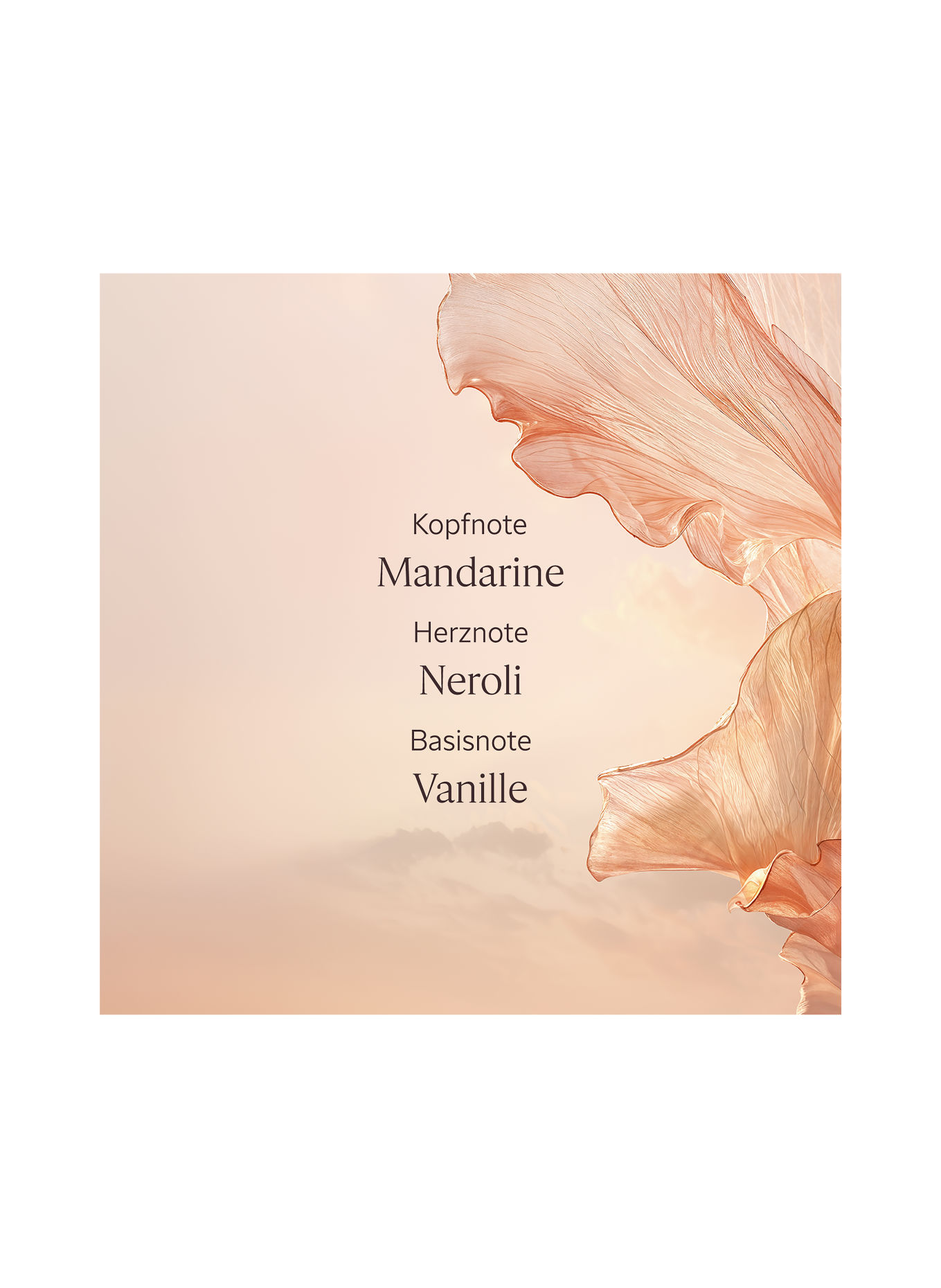 L'OCCITANE NÉROLI ORCHIDÉE