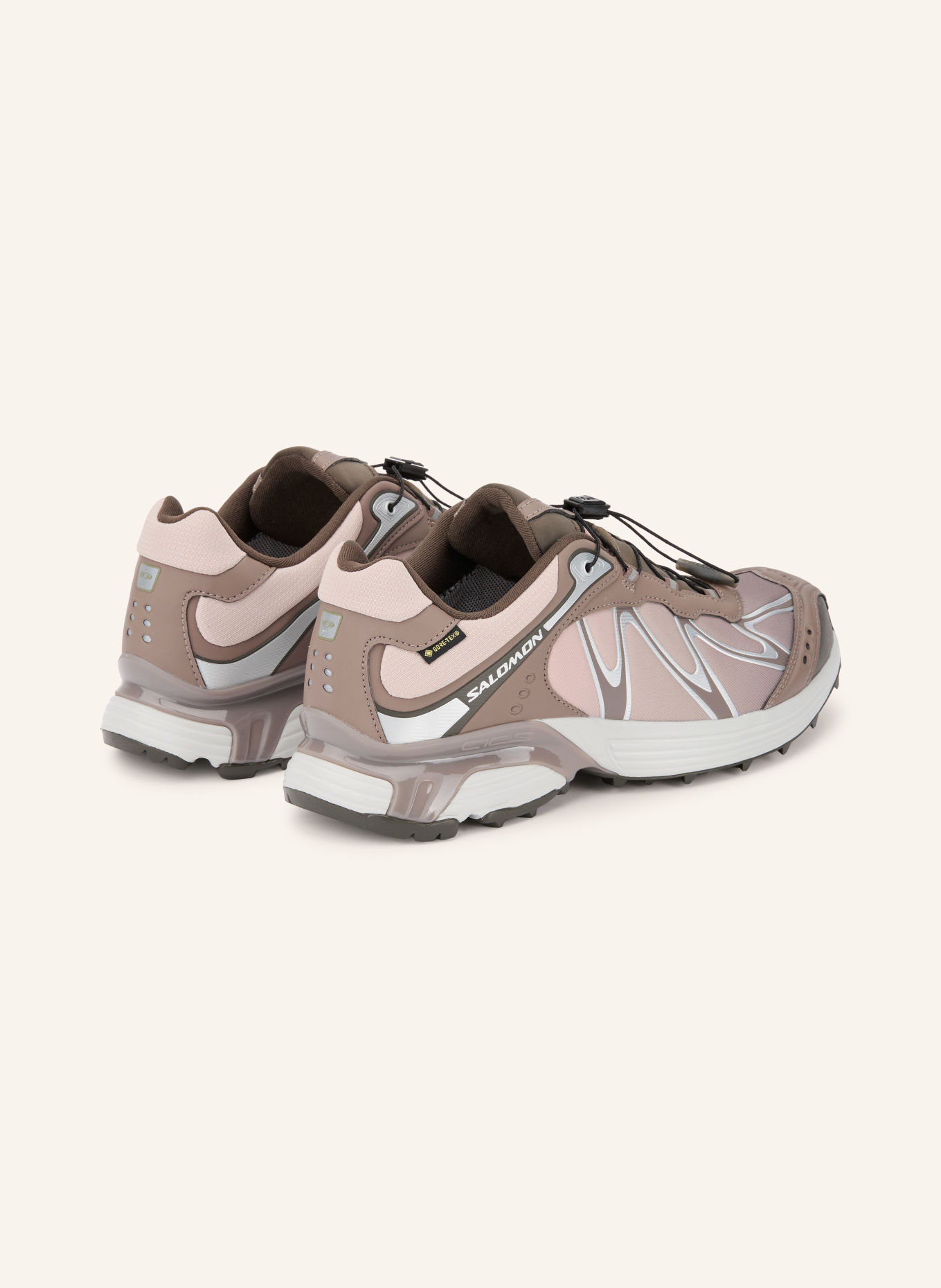SALOMON XT-WHISPER GTX Sneakers: TAUPE / SILVER / BROWN