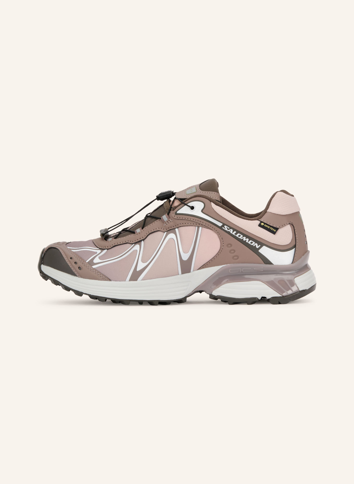 SALOMON XT-WHISPER GTX Sneakers: TAUPE / SILVER / BROWN