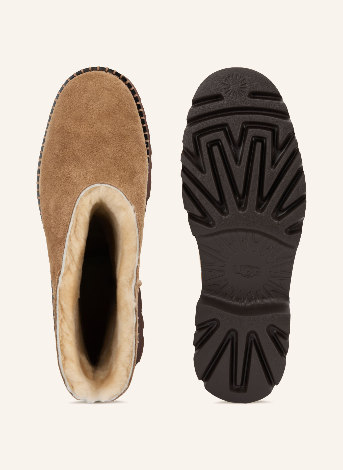 UGG Boots UPTOWNER SHORT: HELLBRAUN