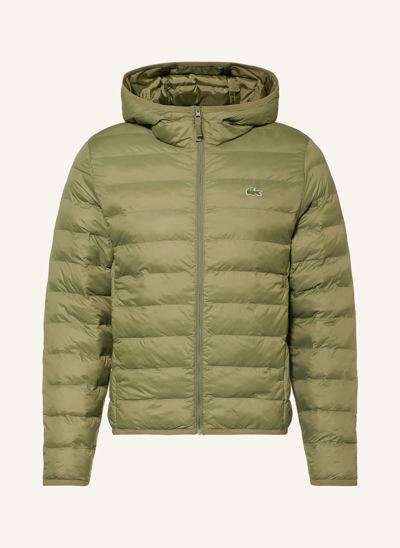 LACOSTE Gewatteerde jas: LICHTGROEN