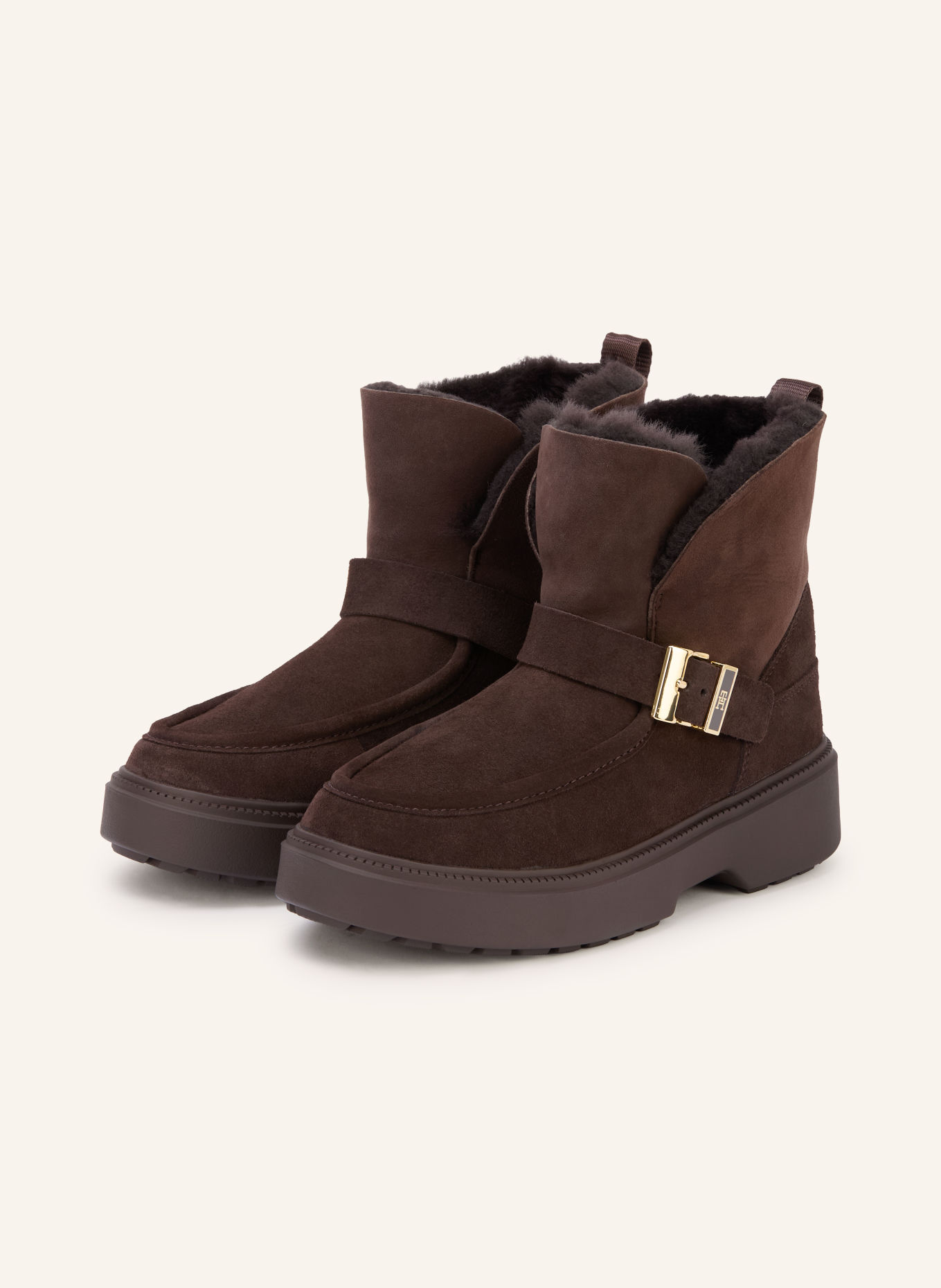 TOMMY HILFIGER Boots: MARRON FONCÉ