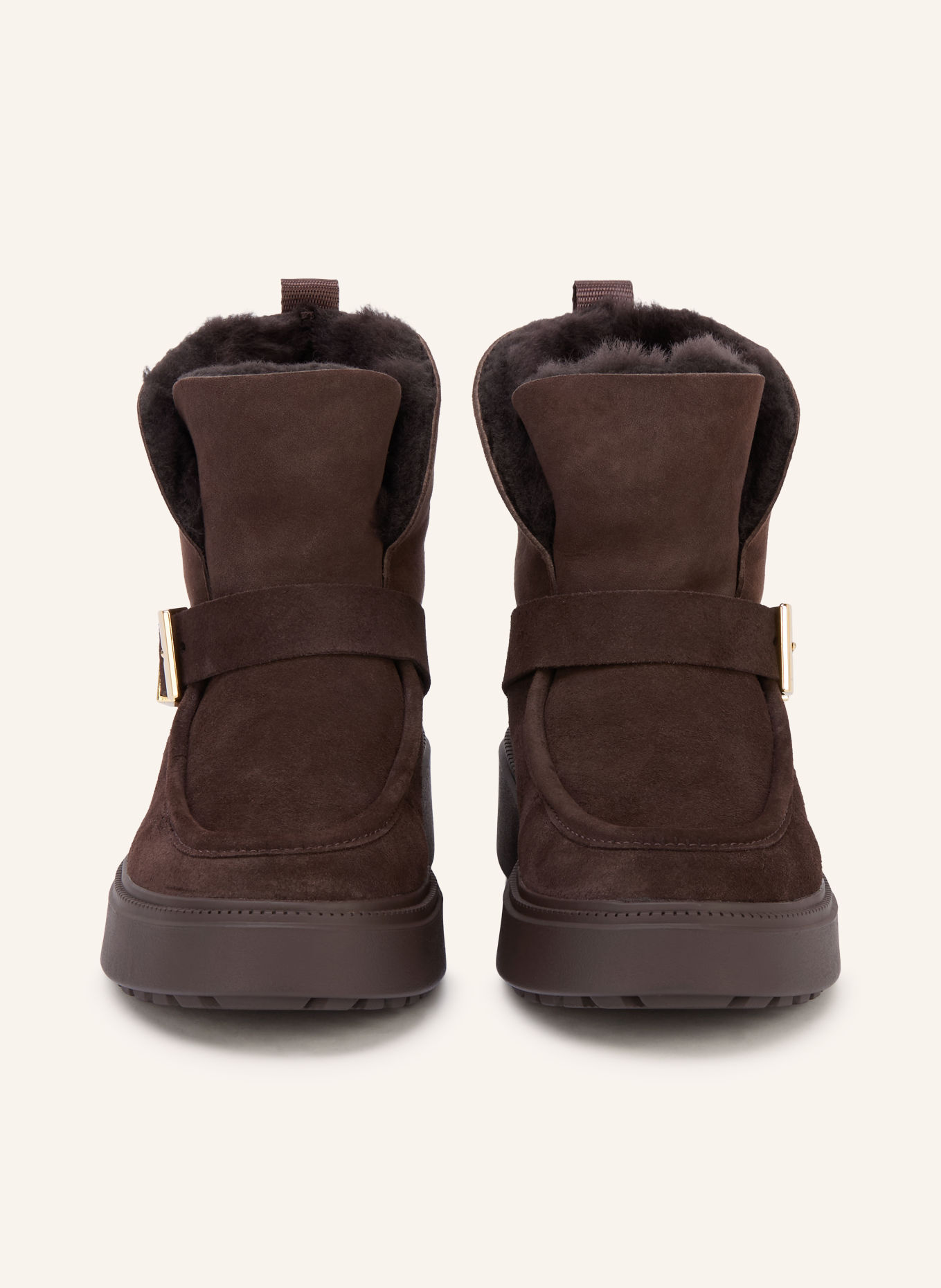TOMMY HILFIGER Boots: MARRON FONCÉ