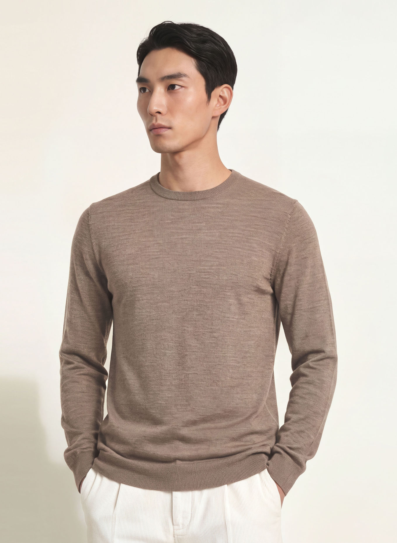 PROFUOMO Pullover: BRAUN