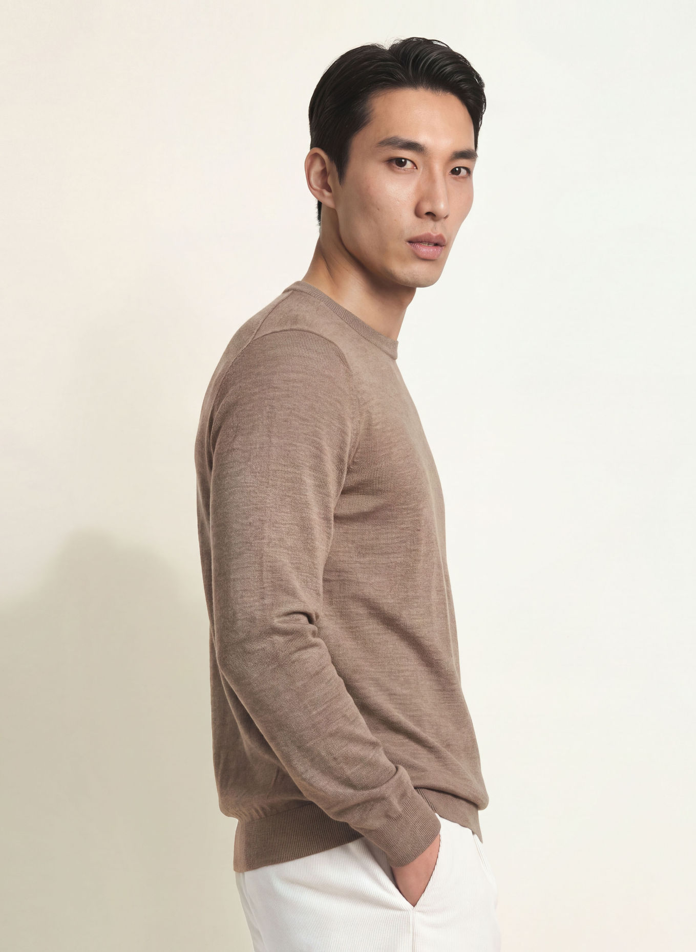 PROFUOMO Pullover: BRAUN