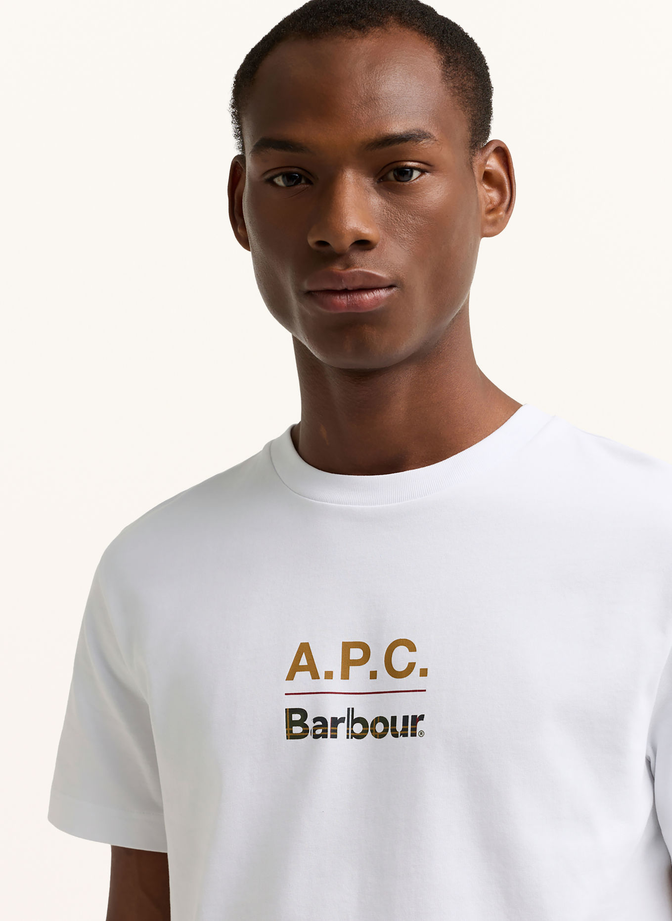 Barbour T-Shirt: WEISS / CAMEL / OLIV