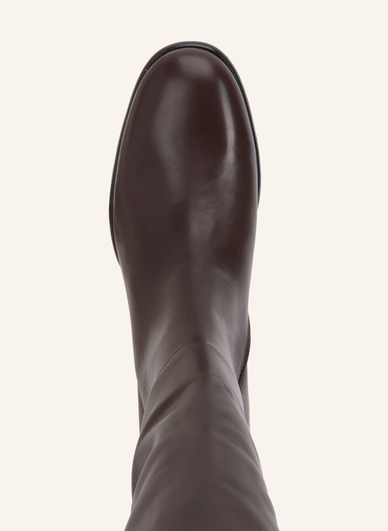 Högl Stiefel: DUNKELBRAUN
