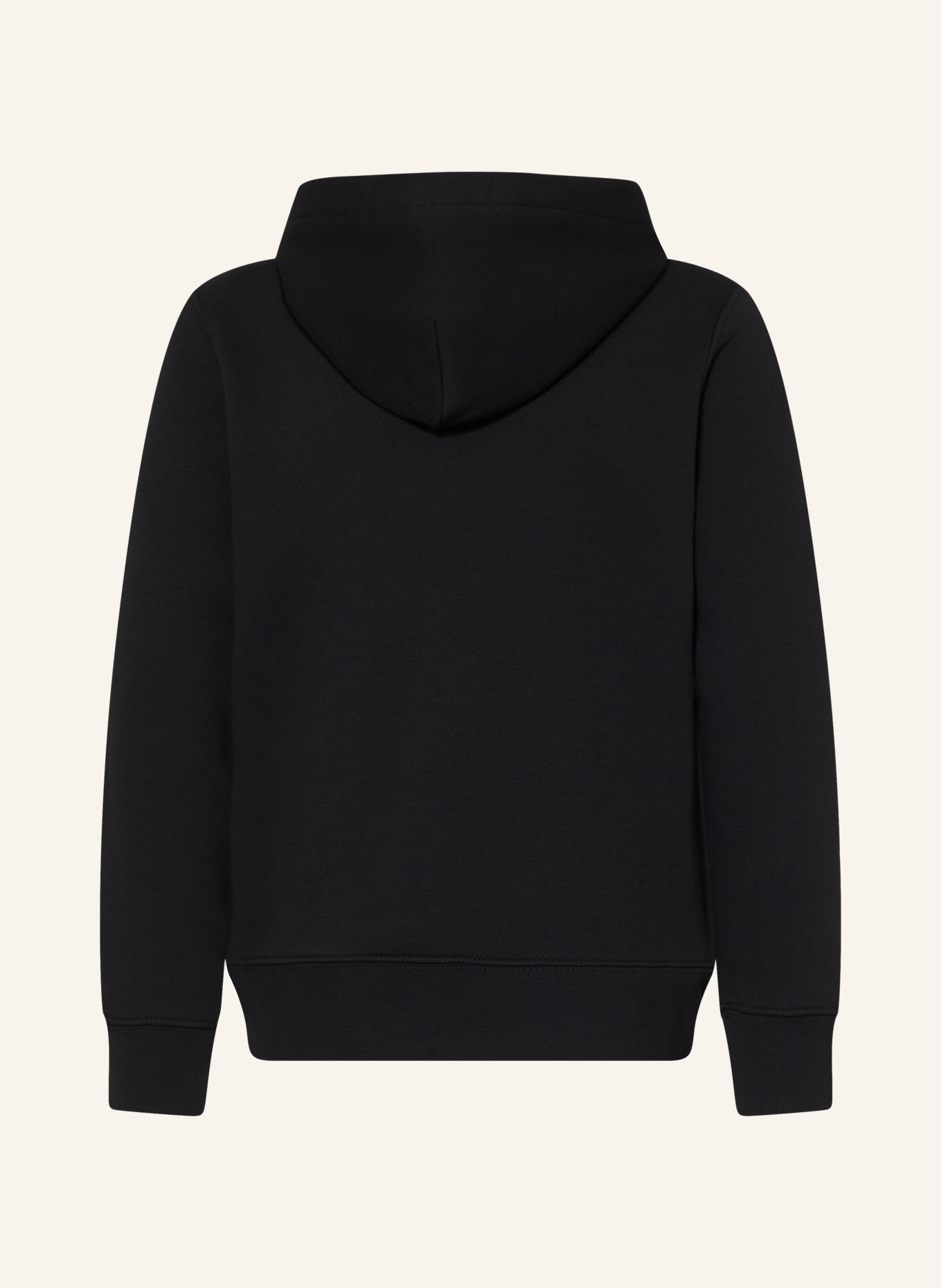 POLO RALPH LAUREN Hoodie: BLACK / BROWN / BLUE