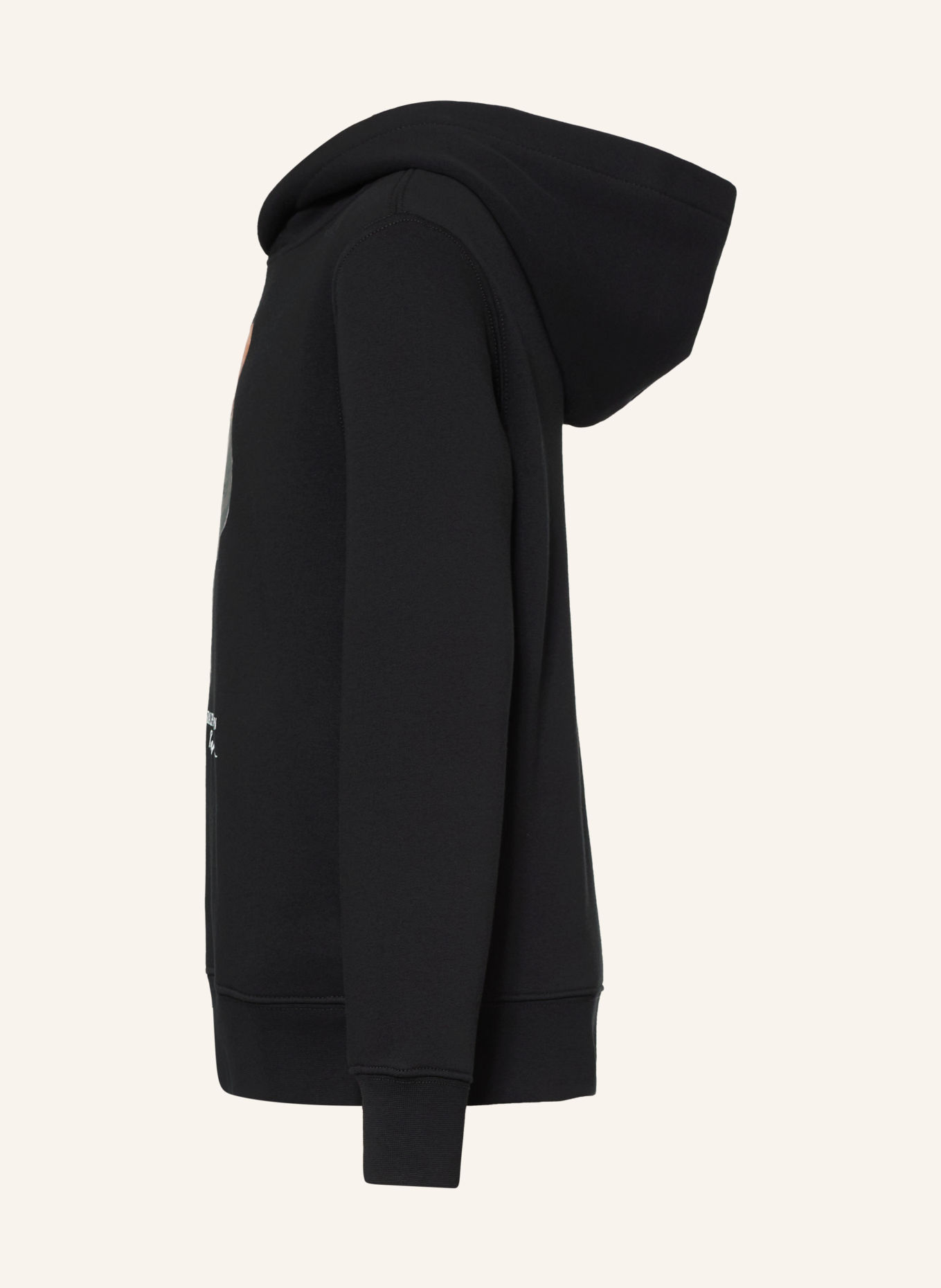 POLO RALPH LAUREN Hoodie: BLACK / BROWN / BLUE