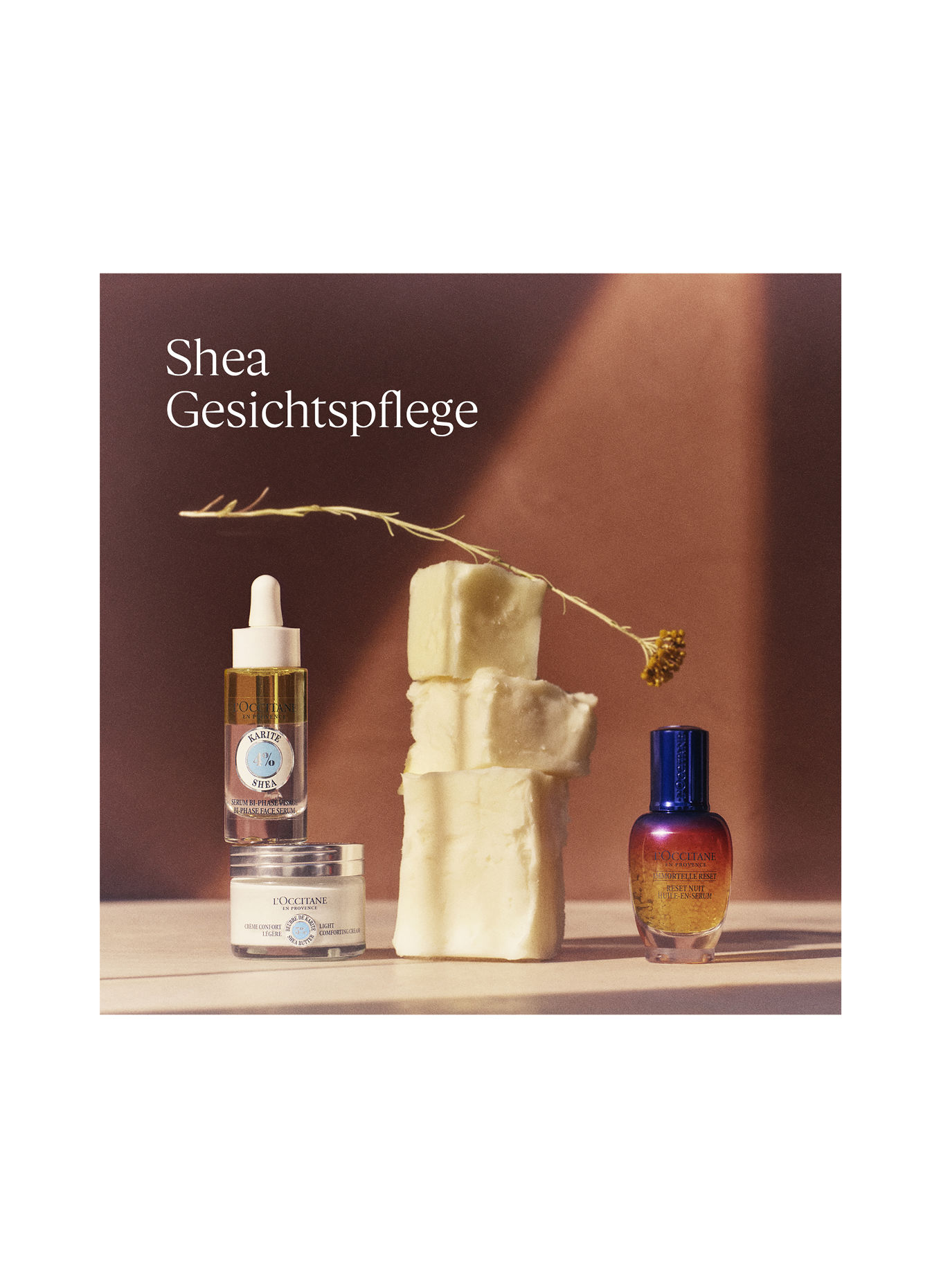 L'OCCITANE SHEA