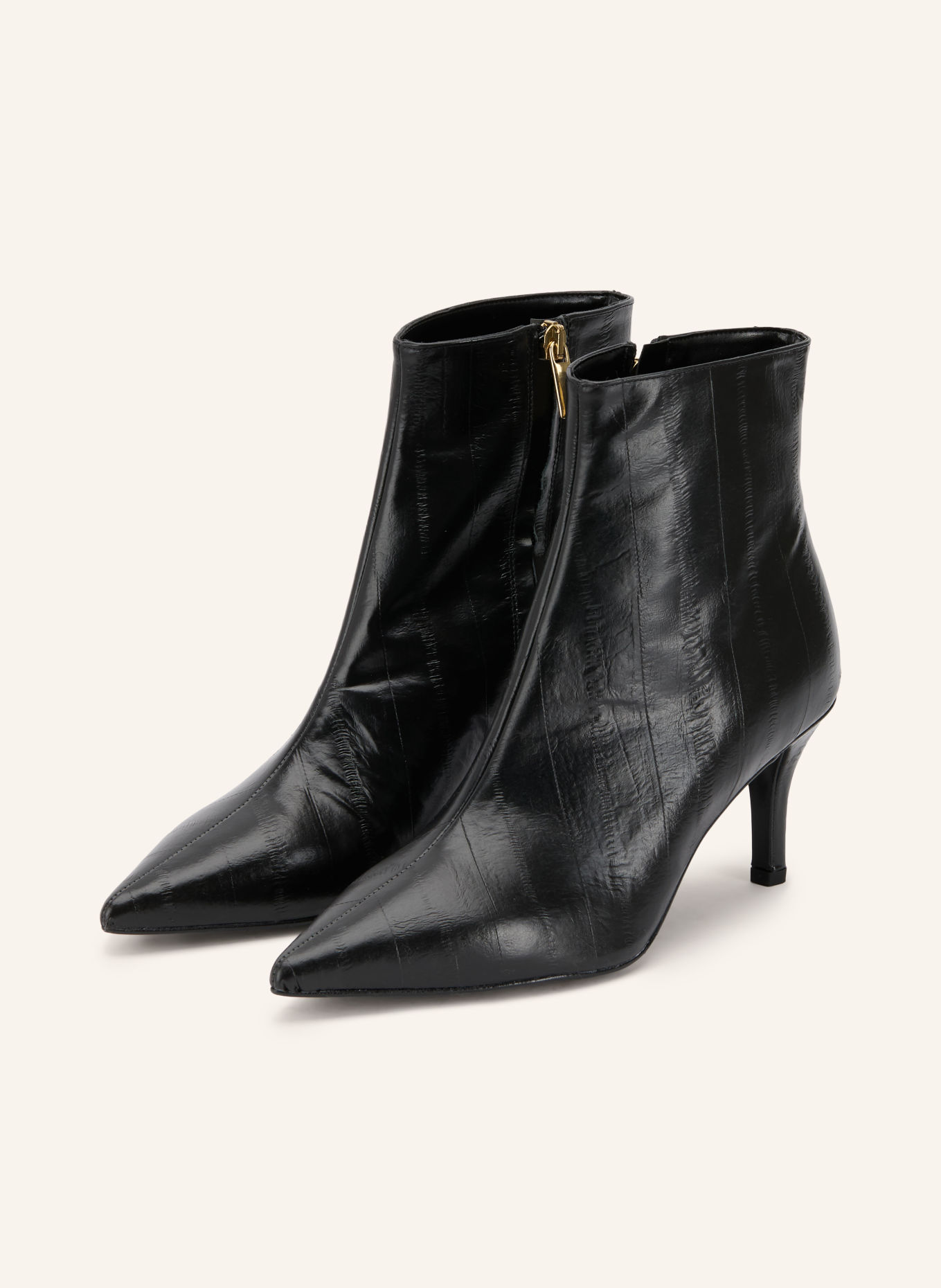 lilienfels Stiefeletten: SCHWARZ