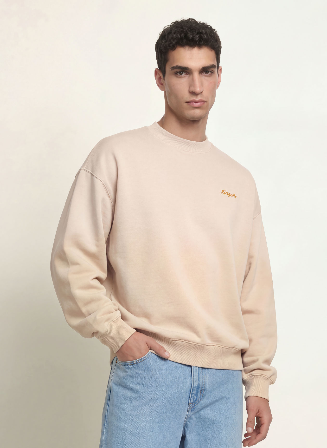 AXEL ARIGATO TRACE Sweatshirt: BEIGE
