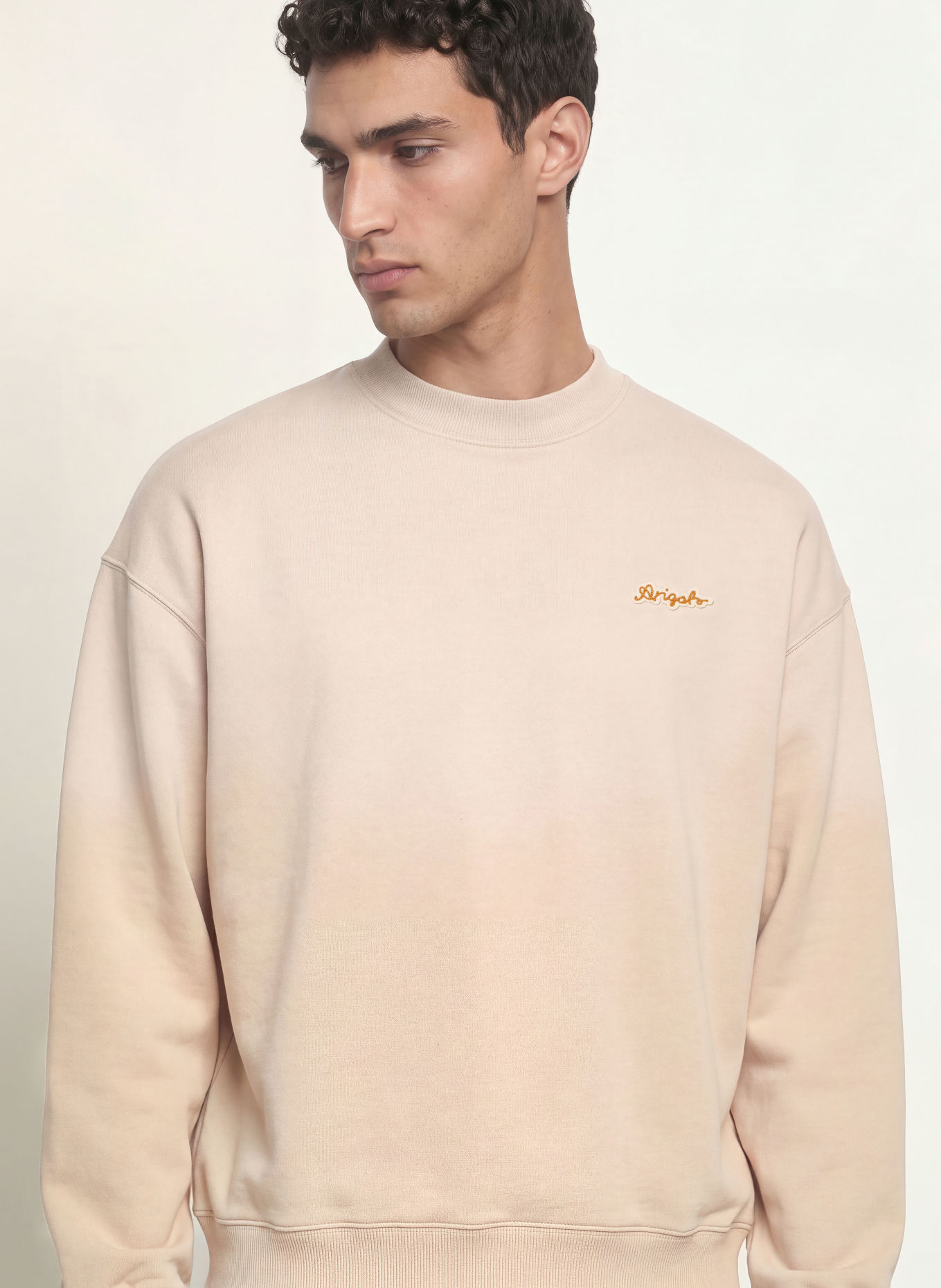 AXEL ARIGATO TRACE Sweatshirt: BEIGE