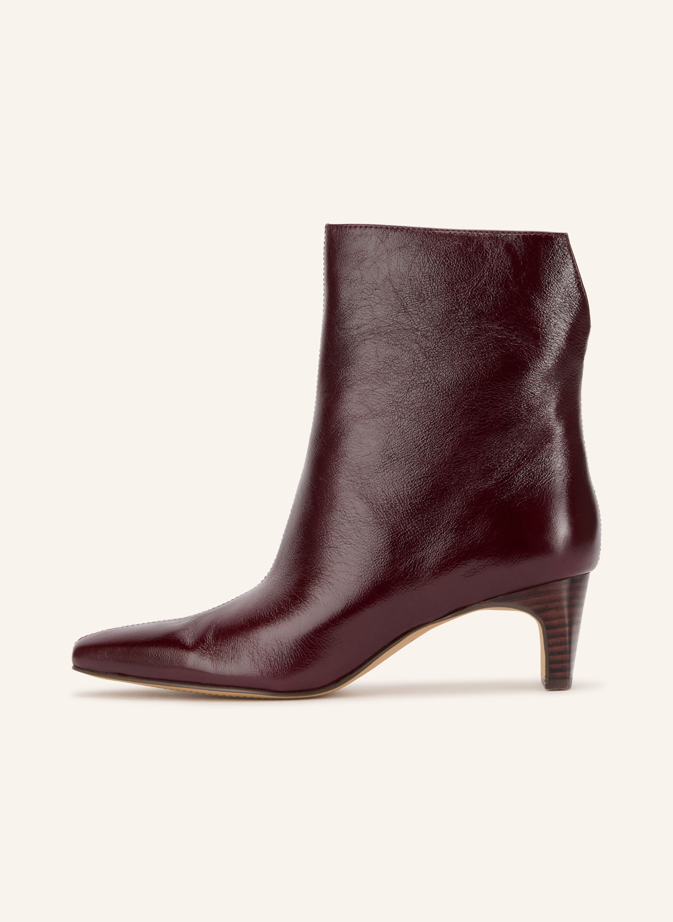 Dolce Vita Stiefeletten BENNET: DUNKELROT