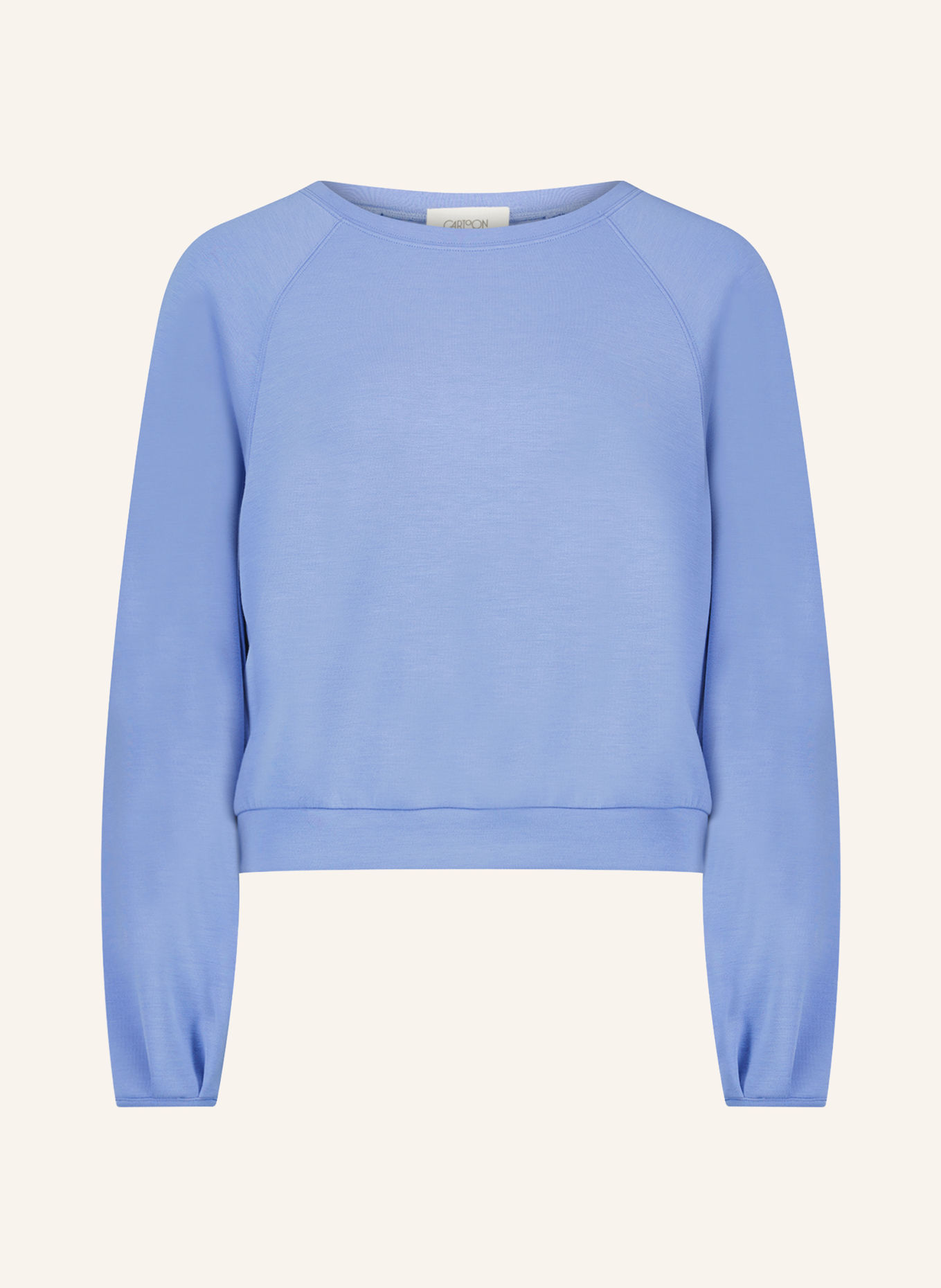 CARTOON Sweatshirt: BLEU CLAIR