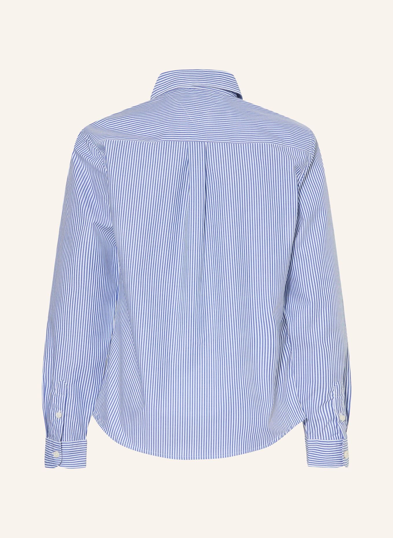 TOMMY HILFIGER Shirt: BLUE / WHITE