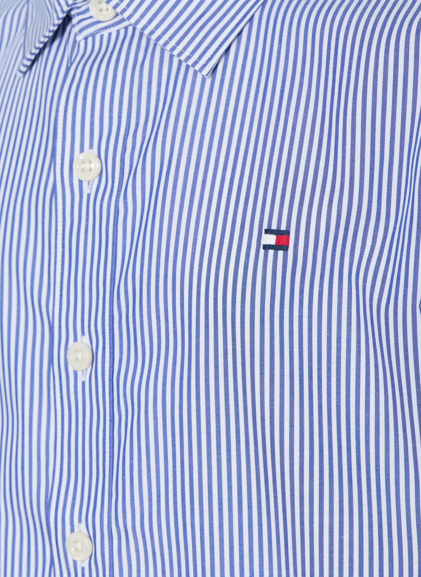 TOMMY HILFIGER Shirt: BLUE / WHITE