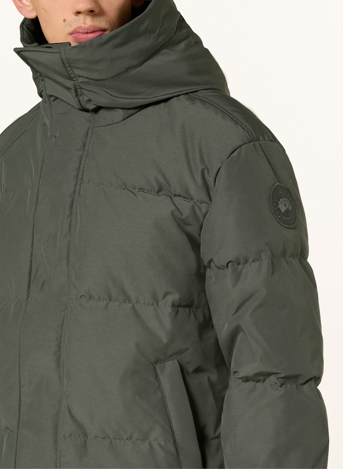 CANADA GOOSE Daunenjacke SEYMOUR: OLIV