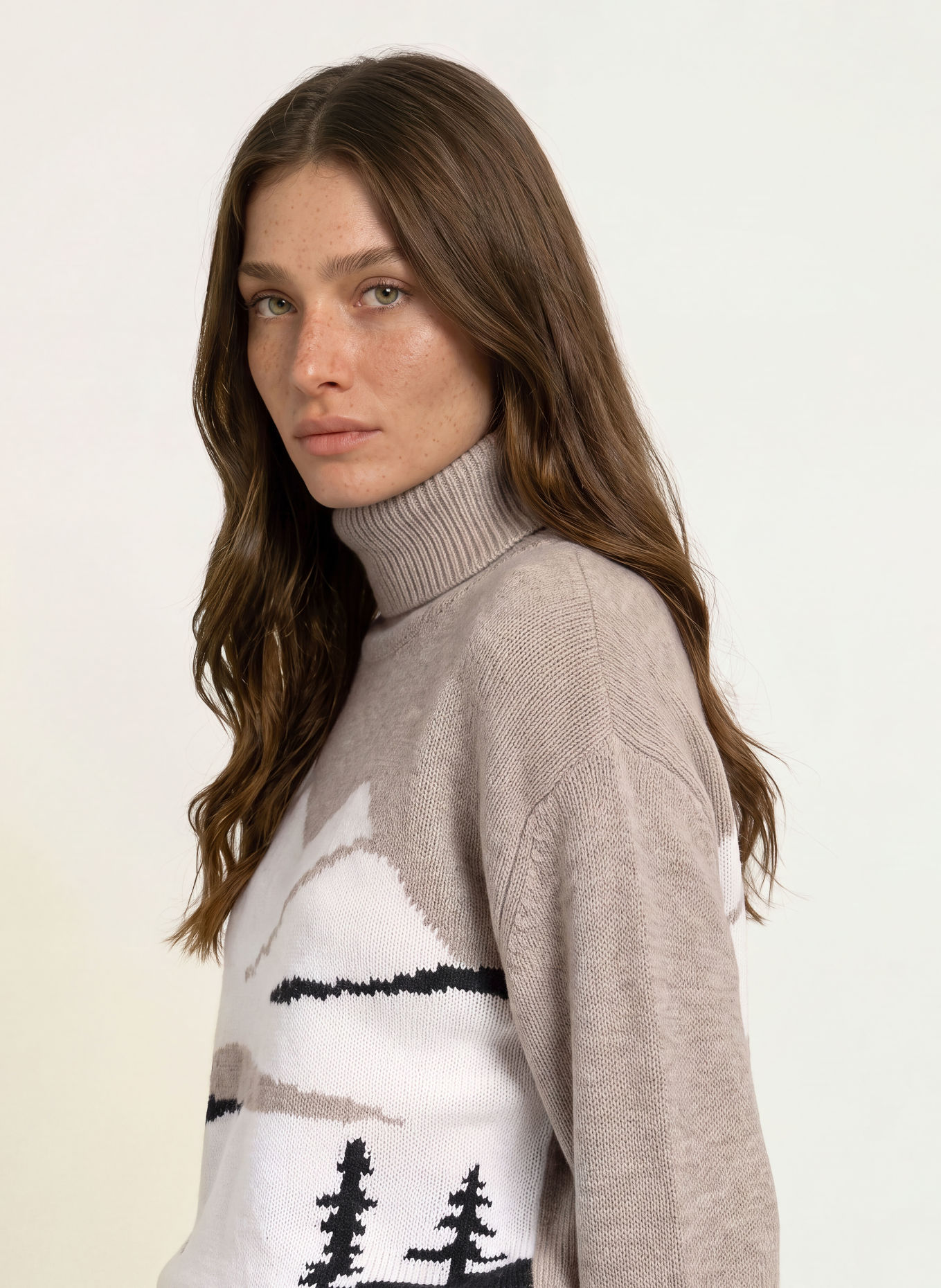 FTC CASHMERE Cashmere turtleneck sweater: TAUPE / ECRU / BLACK