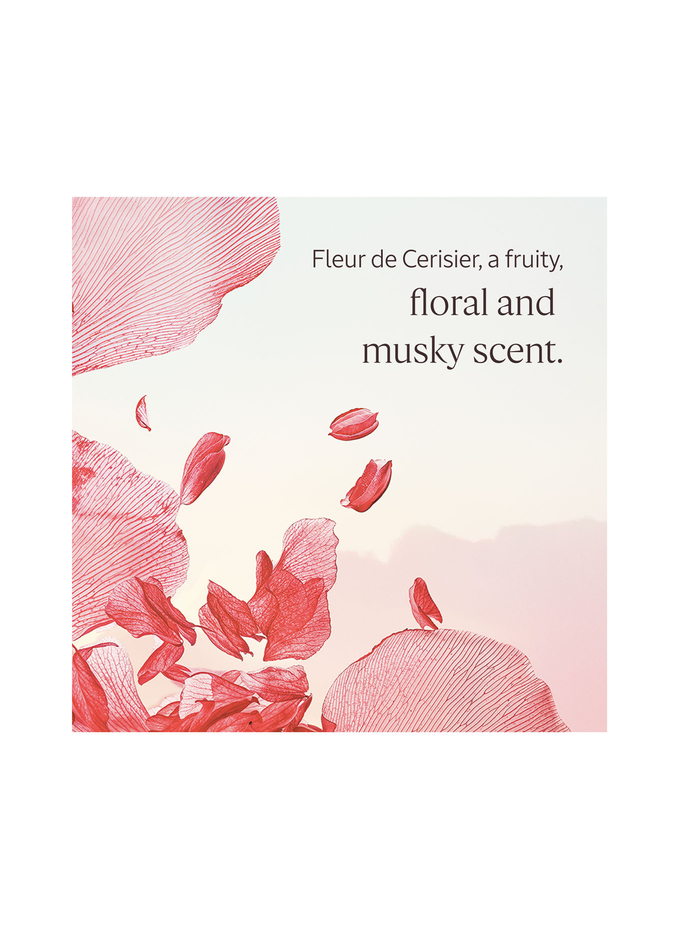 L'OCCITANE FLEURS DE CERISIER