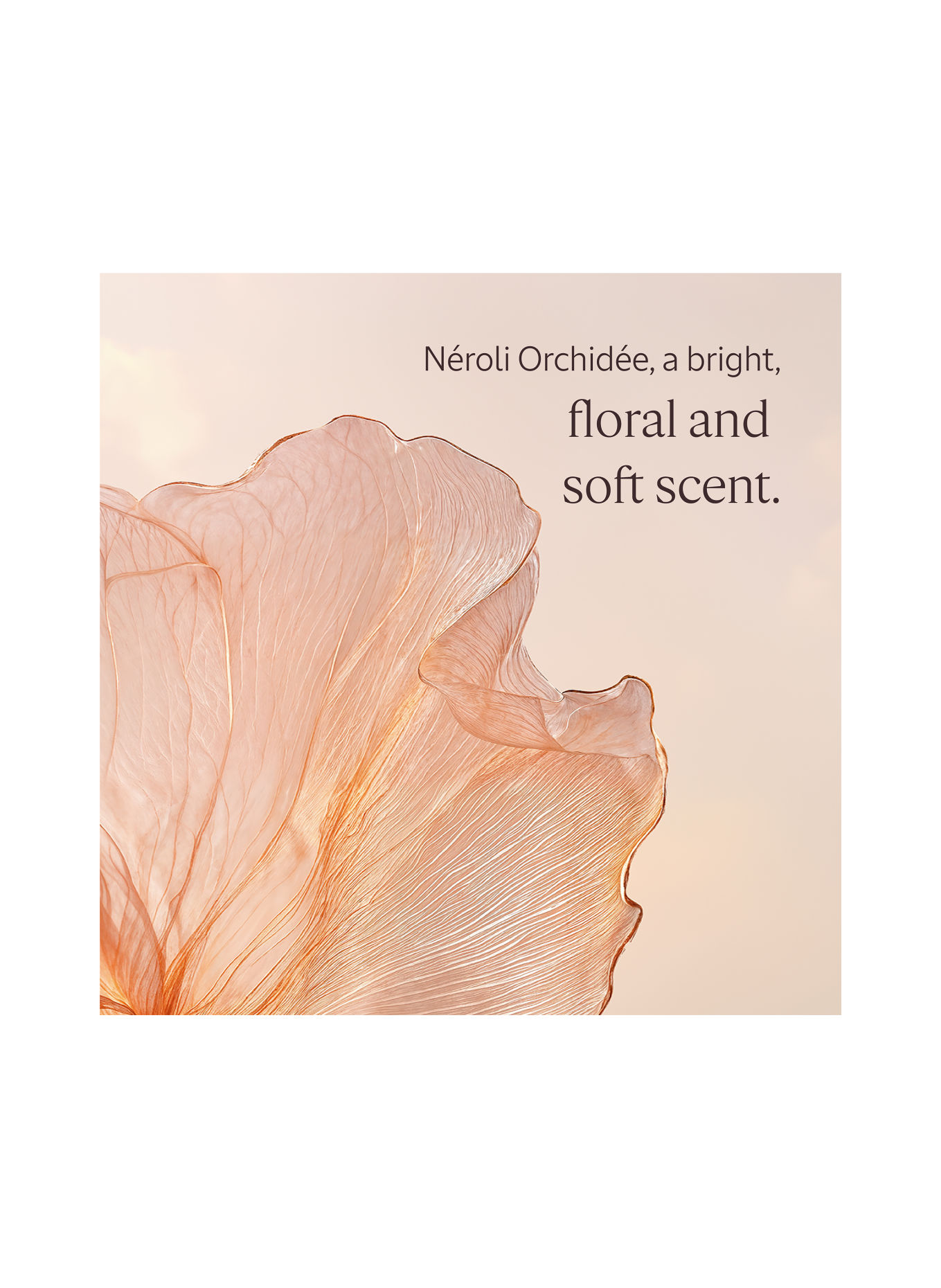 L'OCCITANE NÉROLI ORCHIDÉE