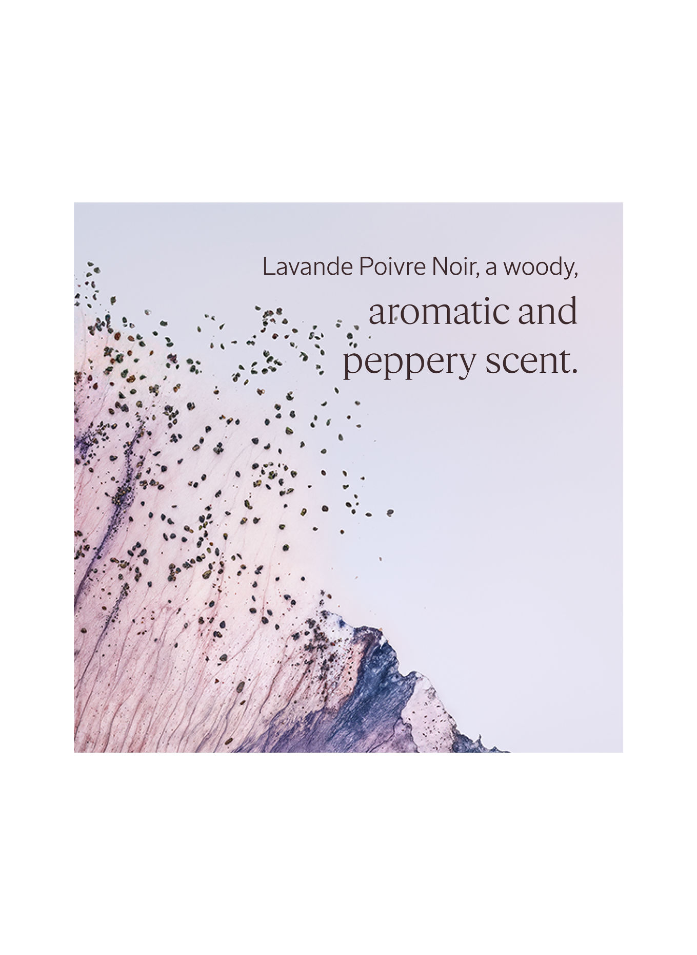 L'OCCITANE LAVANDE POIVRE NOIR