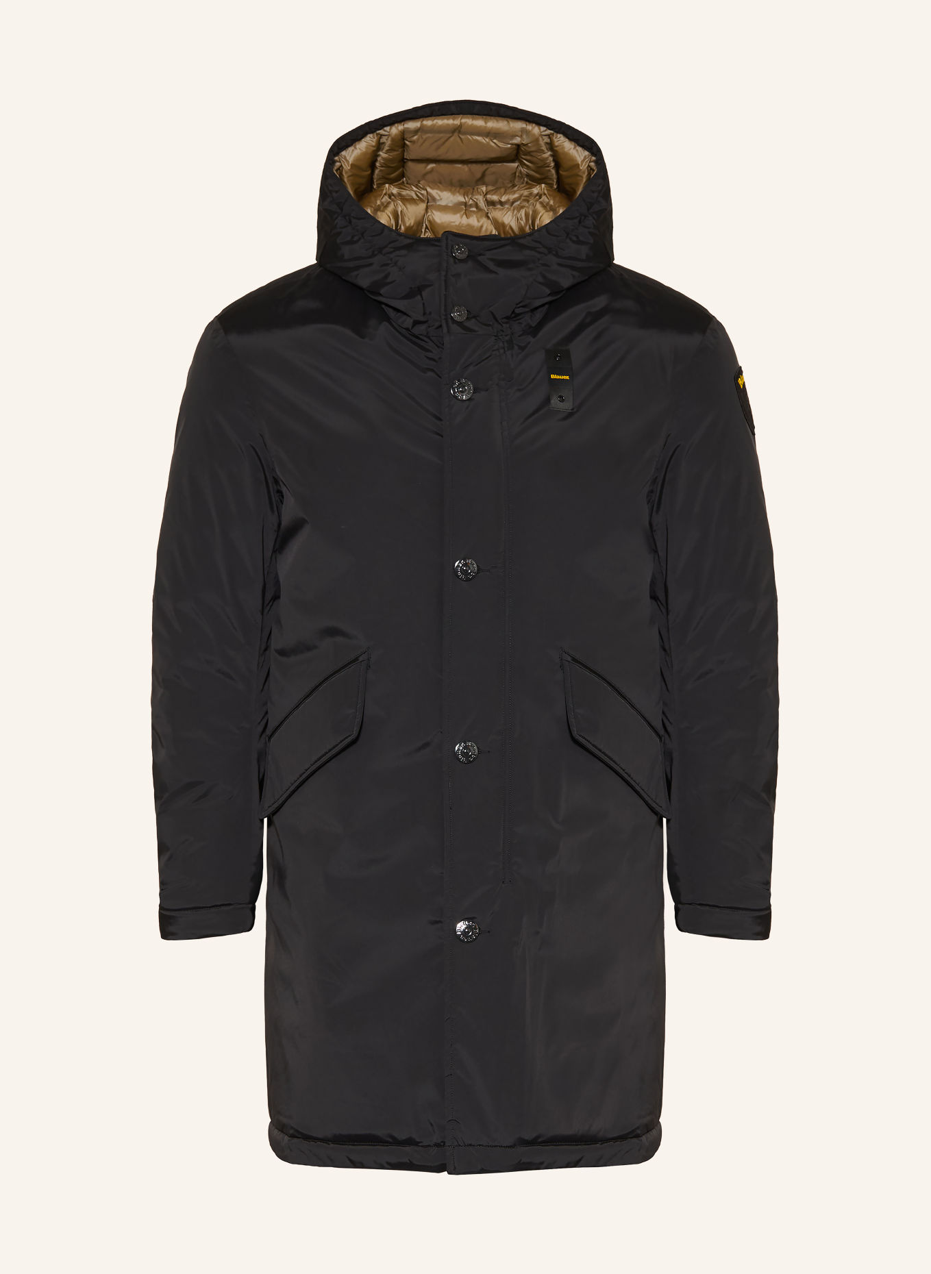 Blauer FAYWOOD Coat: BLACK / YELLOW