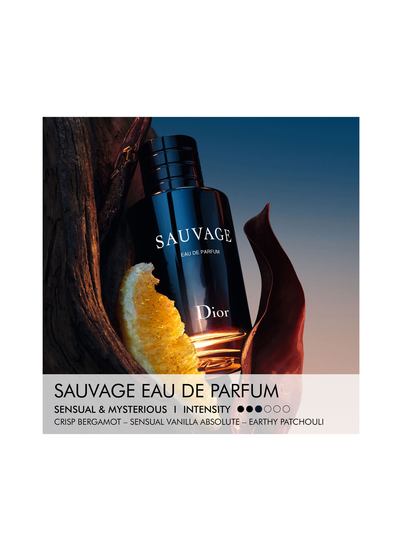 DIOR SAUVAGE