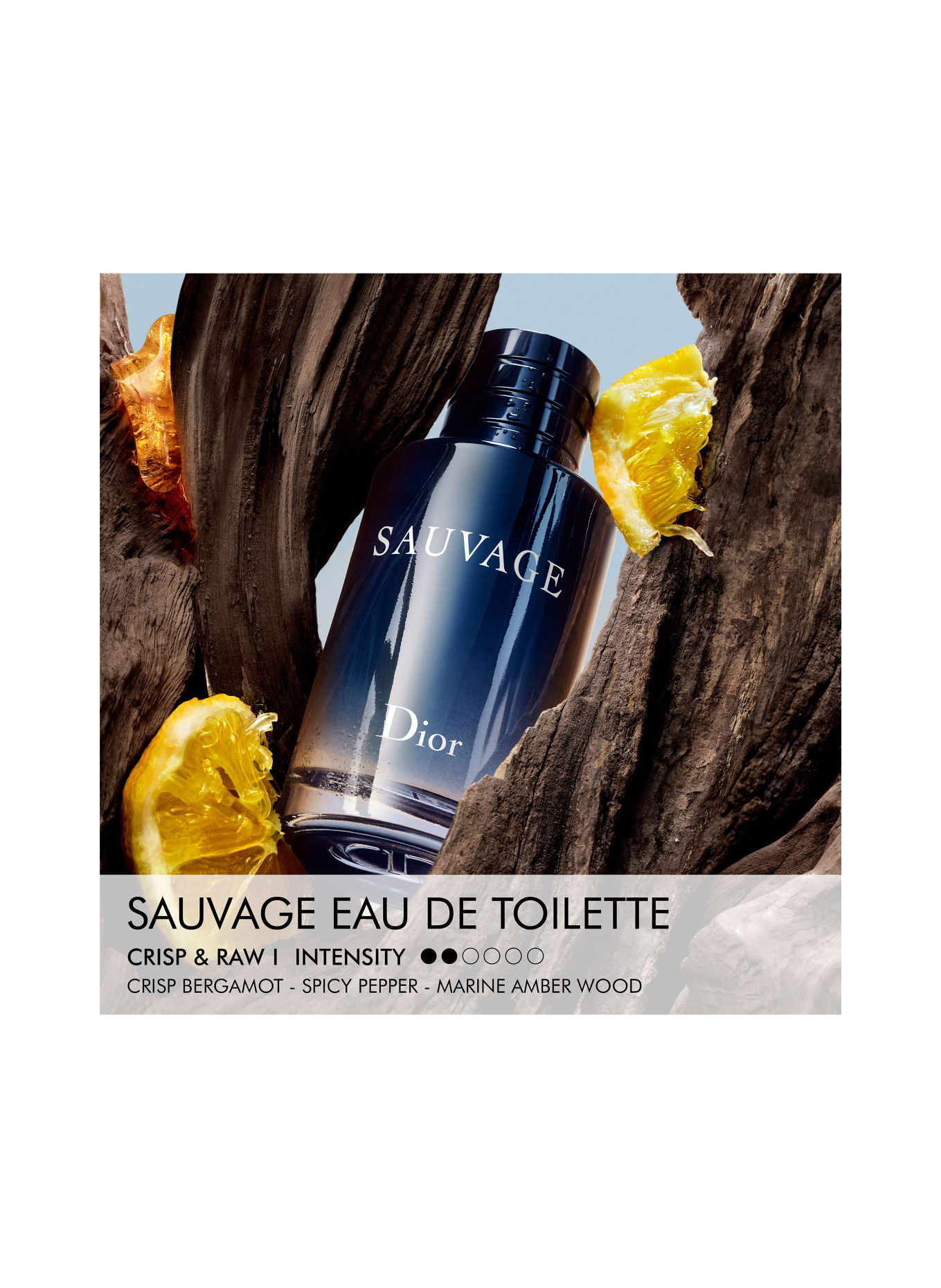 DIOR SAUVAGE