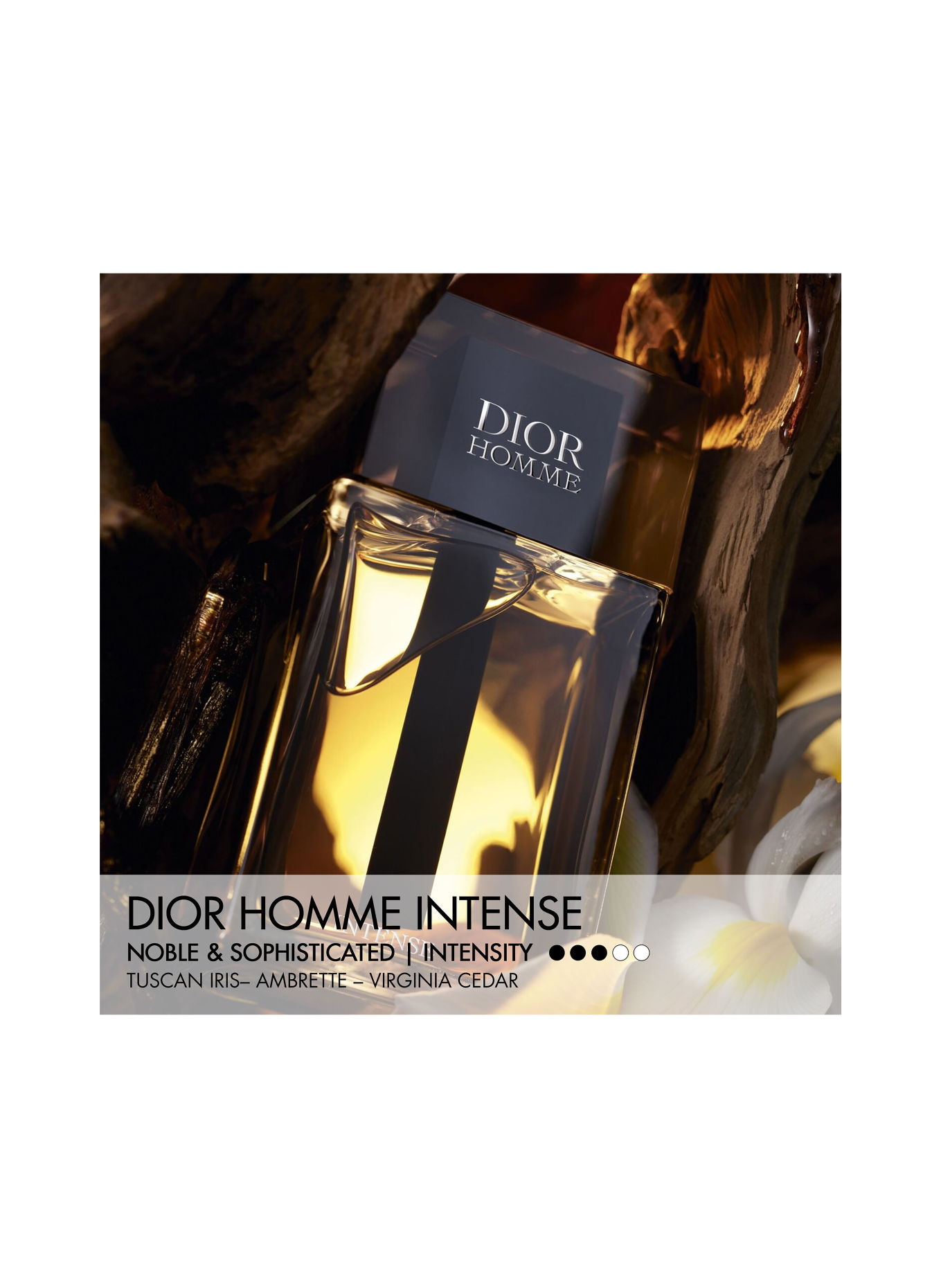DIOR DIOR HOMME INTENSE SET