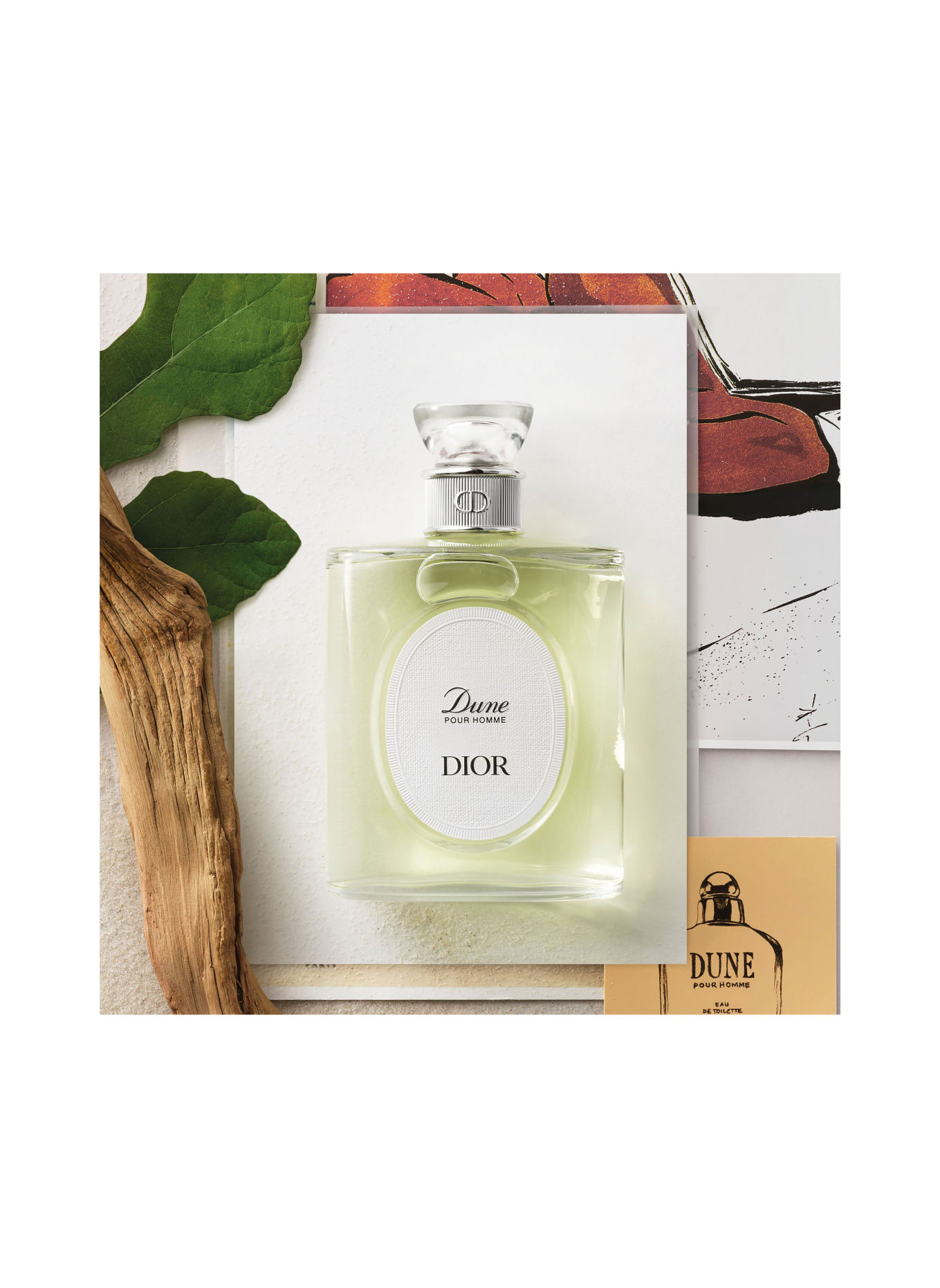 DIOR DUNE POUR HOMME