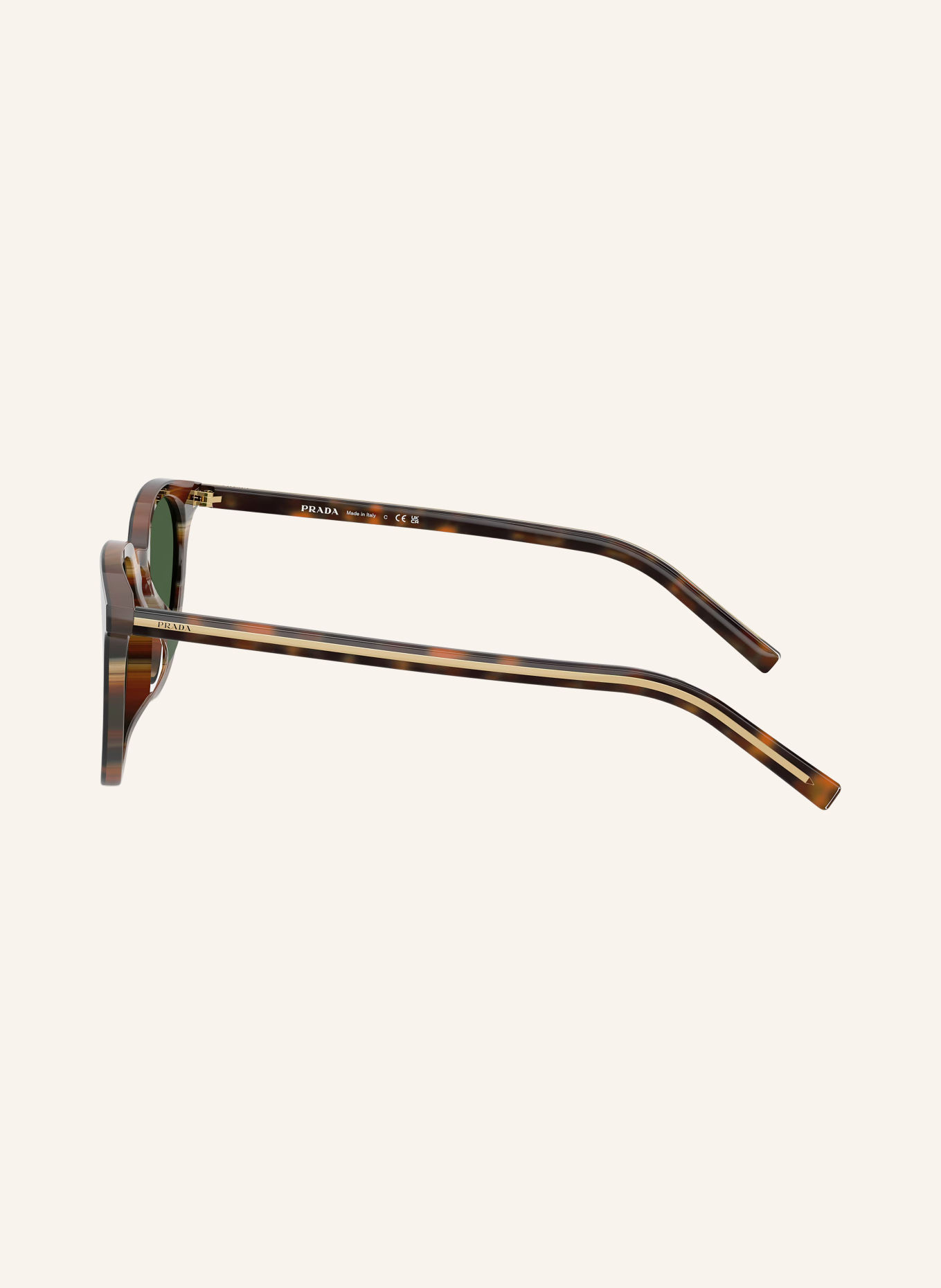 PRADA PR D15SD Sunglasses: HAVANA/ GREEN