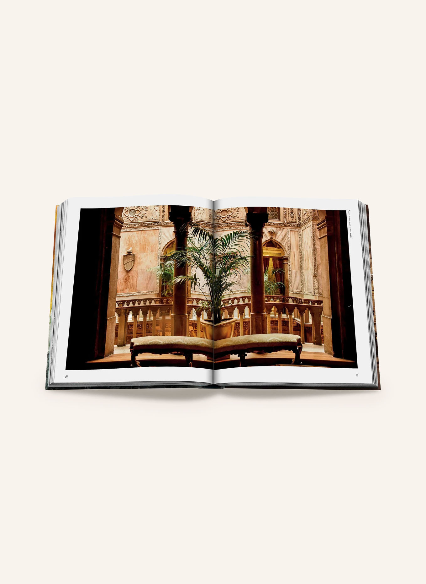 ASSOULINE Book: ITALIAN CHIC: BROWN / GOLD / DARK RED