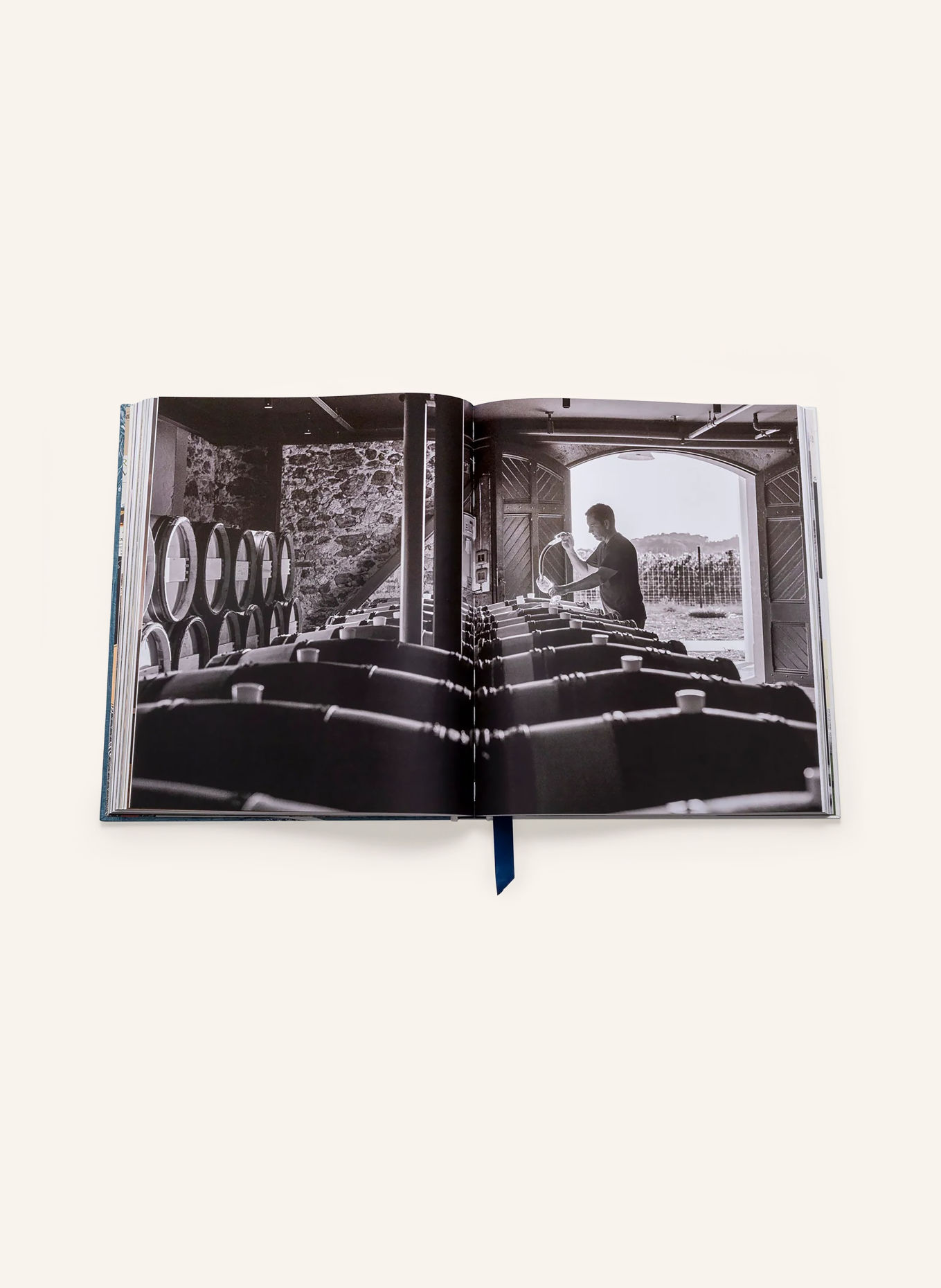 ASSOULINE Book: THE IMPOSSIBLE COLLECTION OF WINE: LIGHT BROWN / CREAM / LIGHT RED