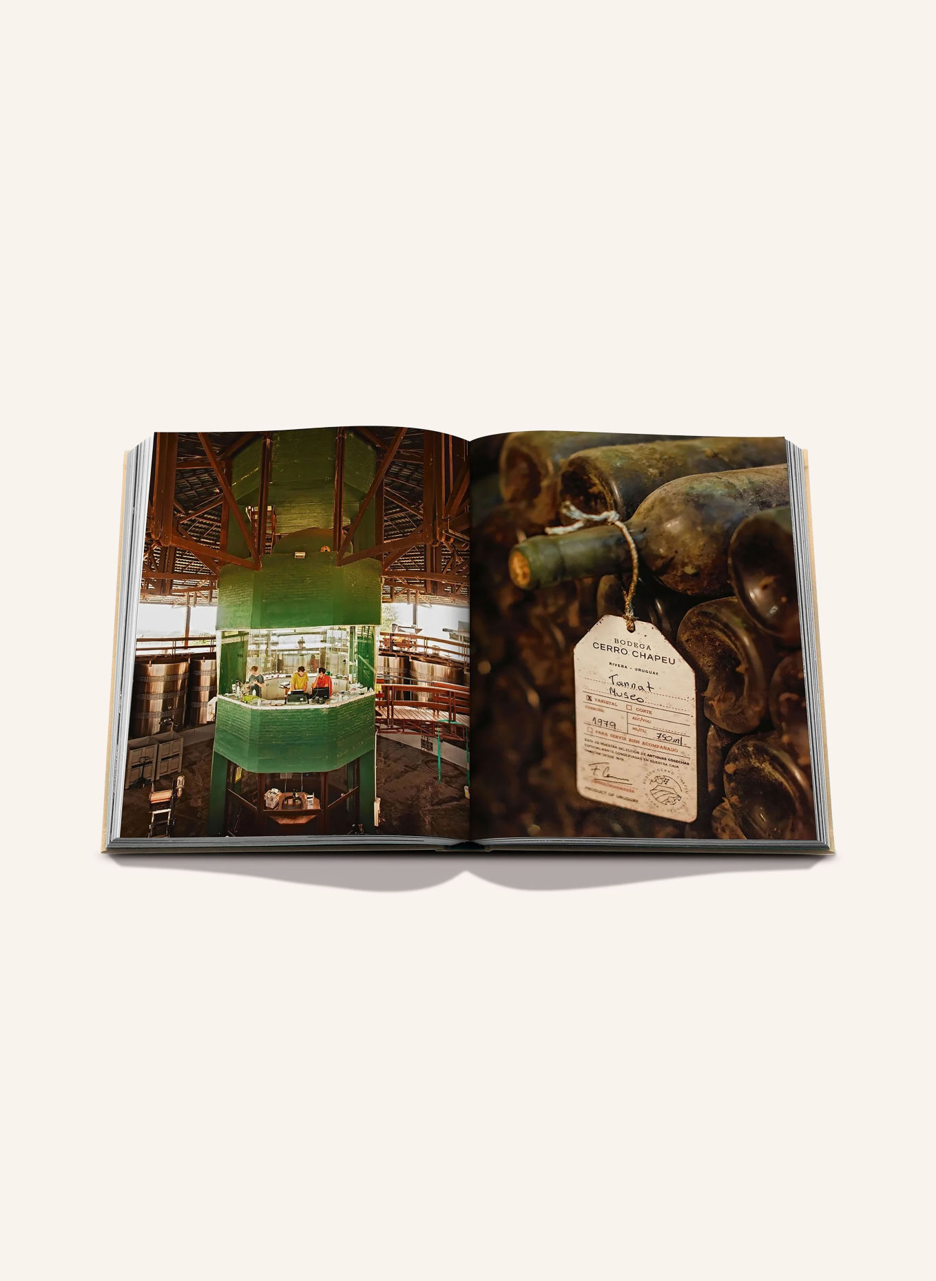ASSOULINE Book: WINE AND TRAVEL LATIN AMERICA: BEIGE / TAUPE / BLACK